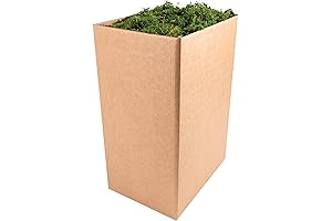 SuperMoss Forest Moss Preserved