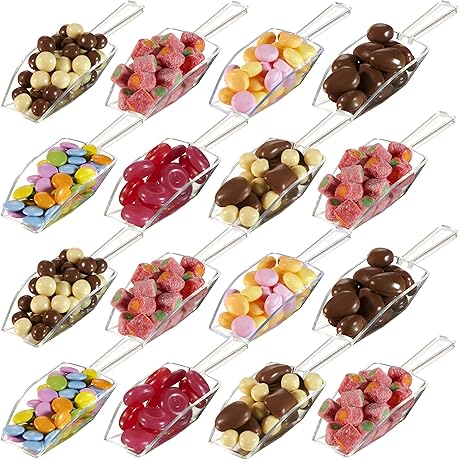 24 Mini Clear Acrylic Candy Scoopers