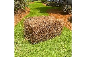 Premium Square Pine Straw Bale: The Natural Choice for Landscaping Excellence