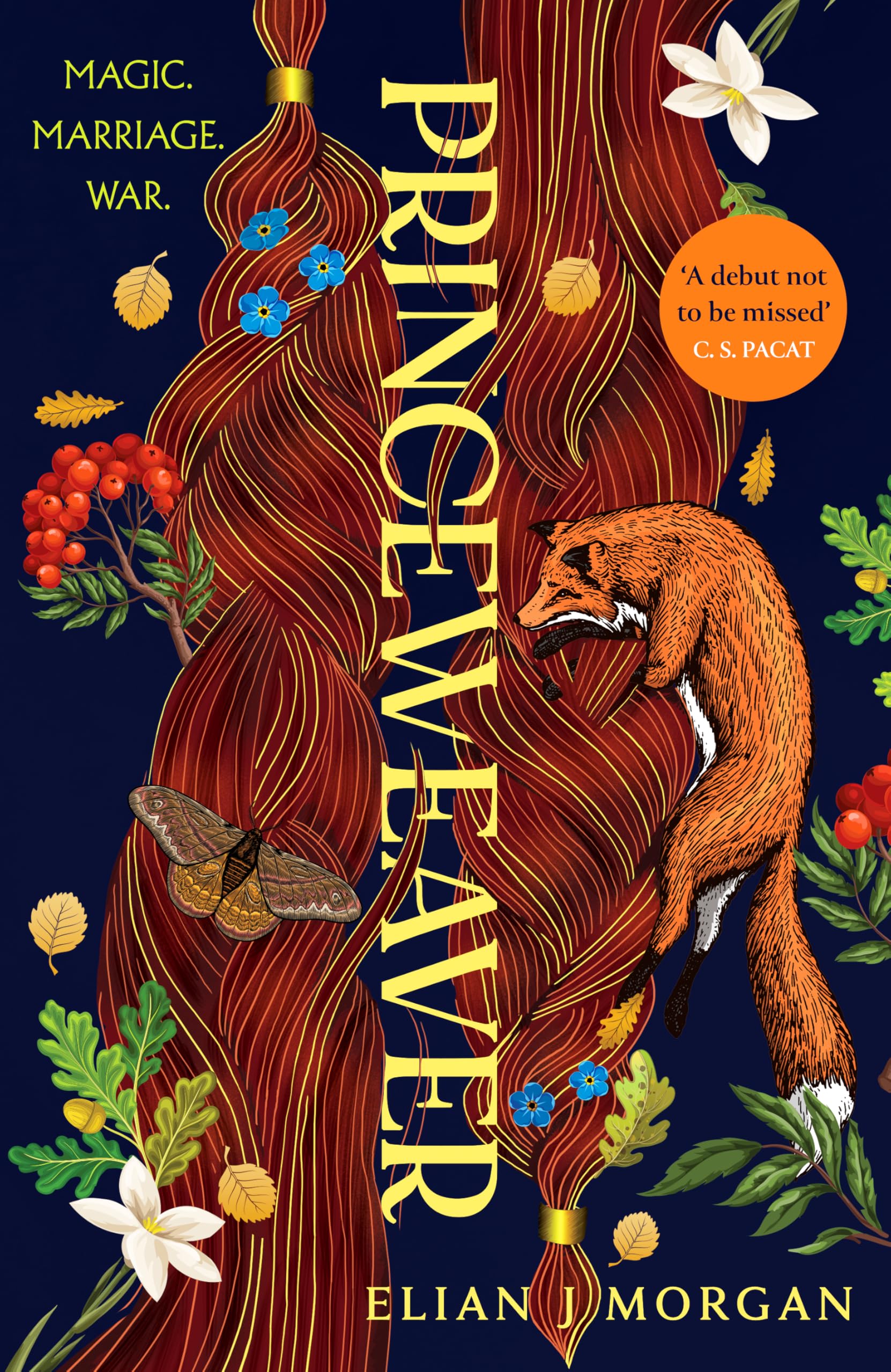 Princeweaver: The epic must-read slow-burn queer fantasy romance (Land of the Wildest Skies)
