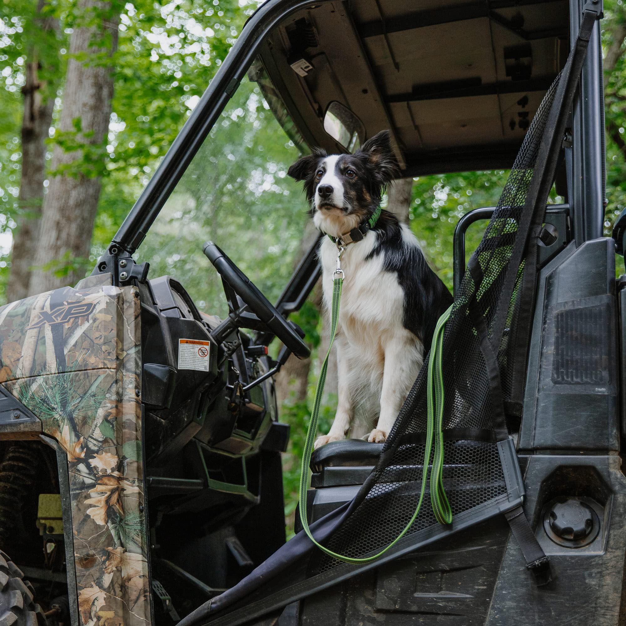 utv dog harness