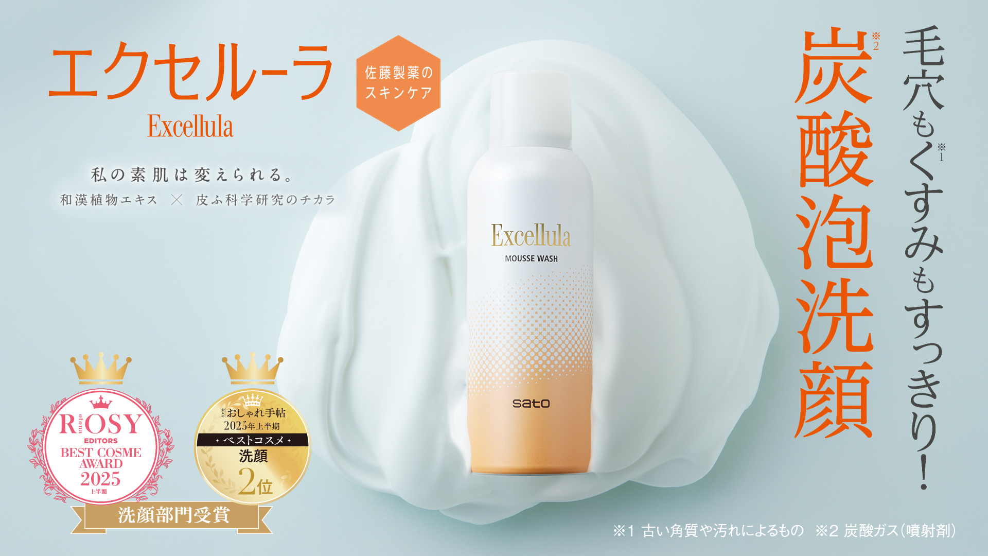 Amazon.co.jp: エクセルーラ: 商品一覧