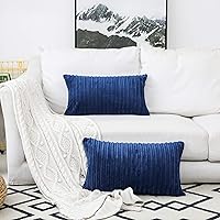 Vista 641 de UGASA - Juego de 2 fundas de almohada de terciopelo a rayas, funda decorativa para cojín con cremallera oculta para el hogar, sofá, dormitorio