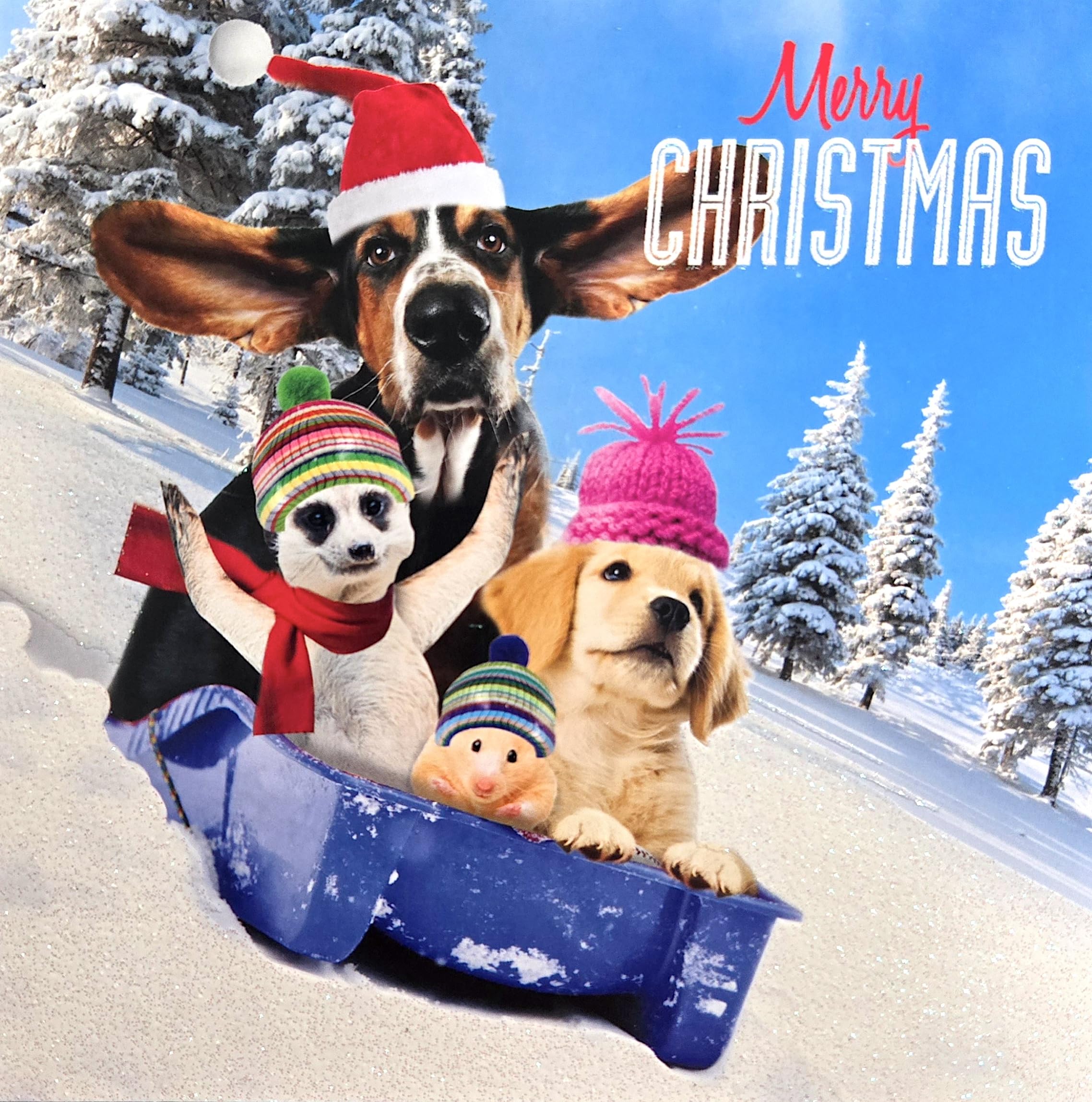 Festive Fun Hound Dog Labrador Puppy Meerkat & Guinea Pig Toboggan Run