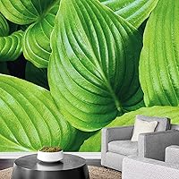 Vista 38 de wall26 serie Wall Mural Papel de empapelar autoadhesivo, grande., WMR-WP-X-D984-66x24x4