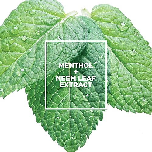 Miniatura 7 de L'Oreal Paris EverPure Scalp Care + Detox Acondicionador sin sulfato para cabello teñido revitaliza el cuero cabelludo y renueva la hidratación,