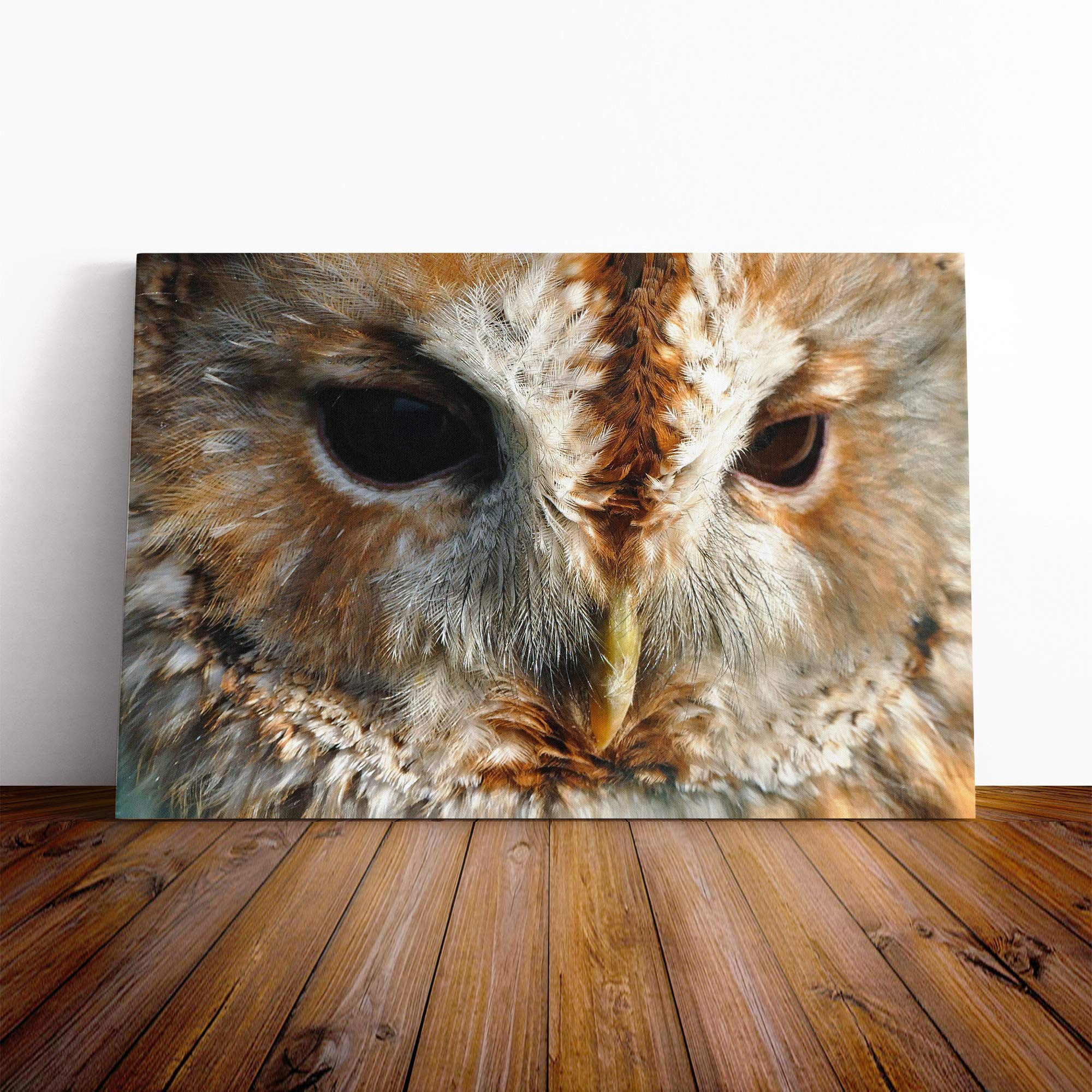 Barn Owl (2) Canvas Print | Gallery Wrapped 30mm Frame Wall Art | 20x14 inches | Ready to Hang | Modern Animals Picture | Living Room Bedroom Lounge Office