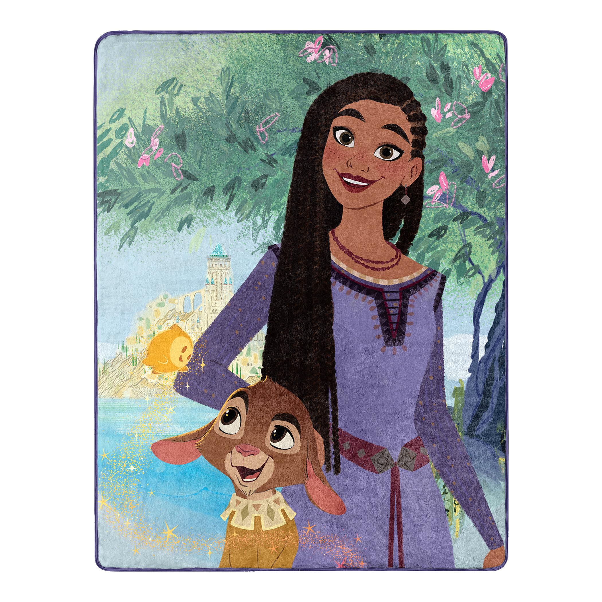 Northwest Disney Wish Silk Touch Throw Blanket, 46 x 60 inches, Friendship