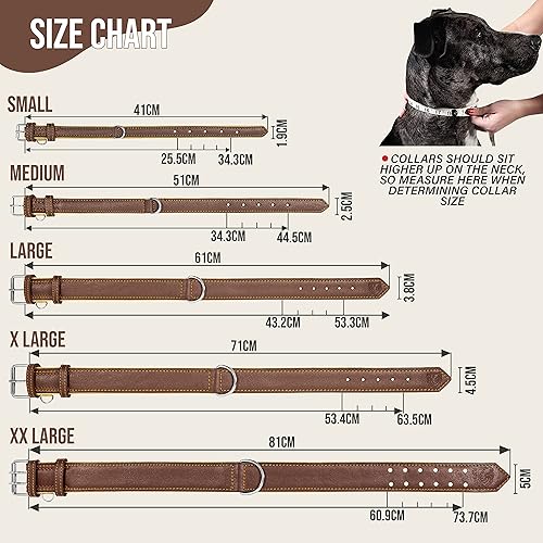 Miniatura 6 de Riparo K-9 - Collar ajustable para perro de piel auténtica acolchado y resistente