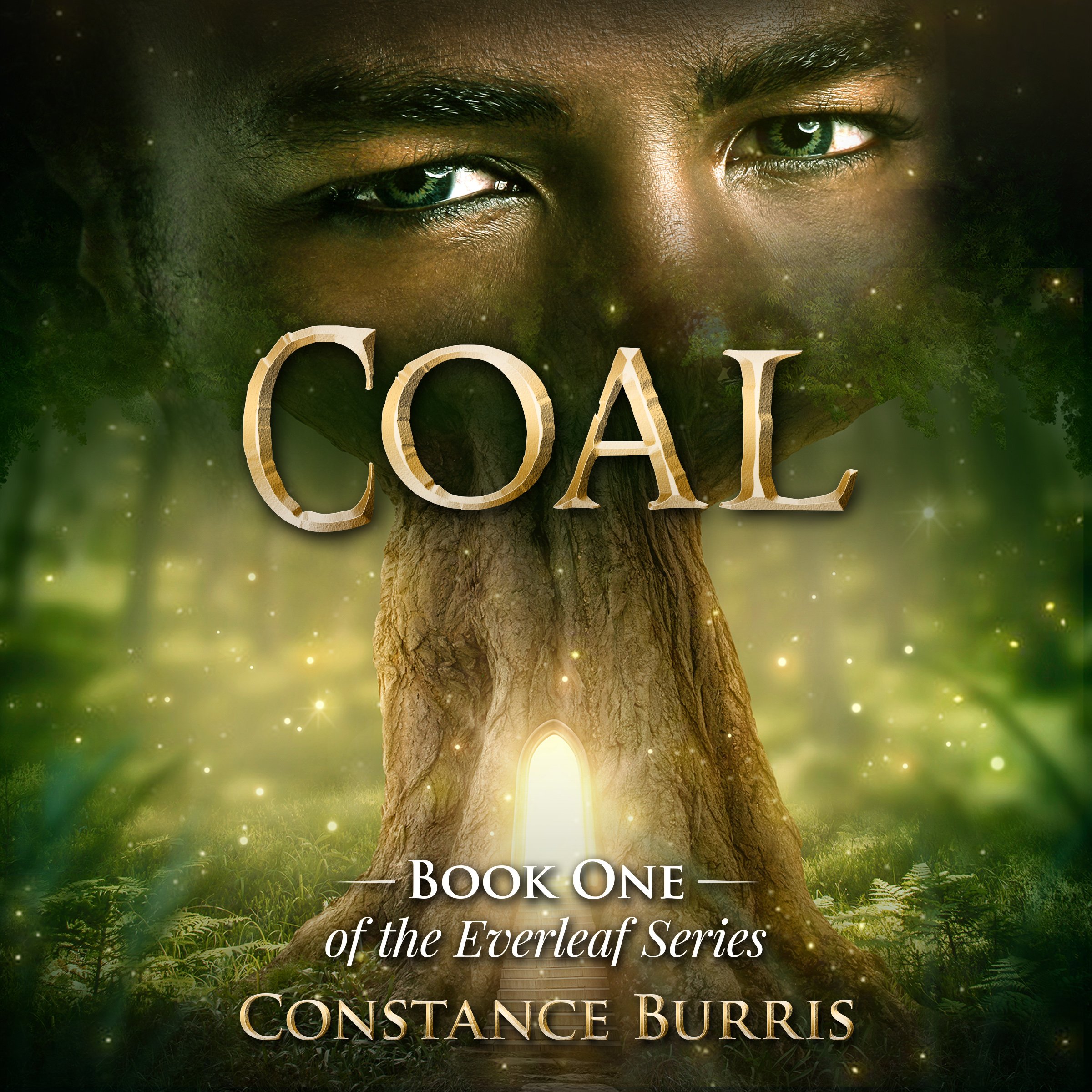 Cover art for Coal