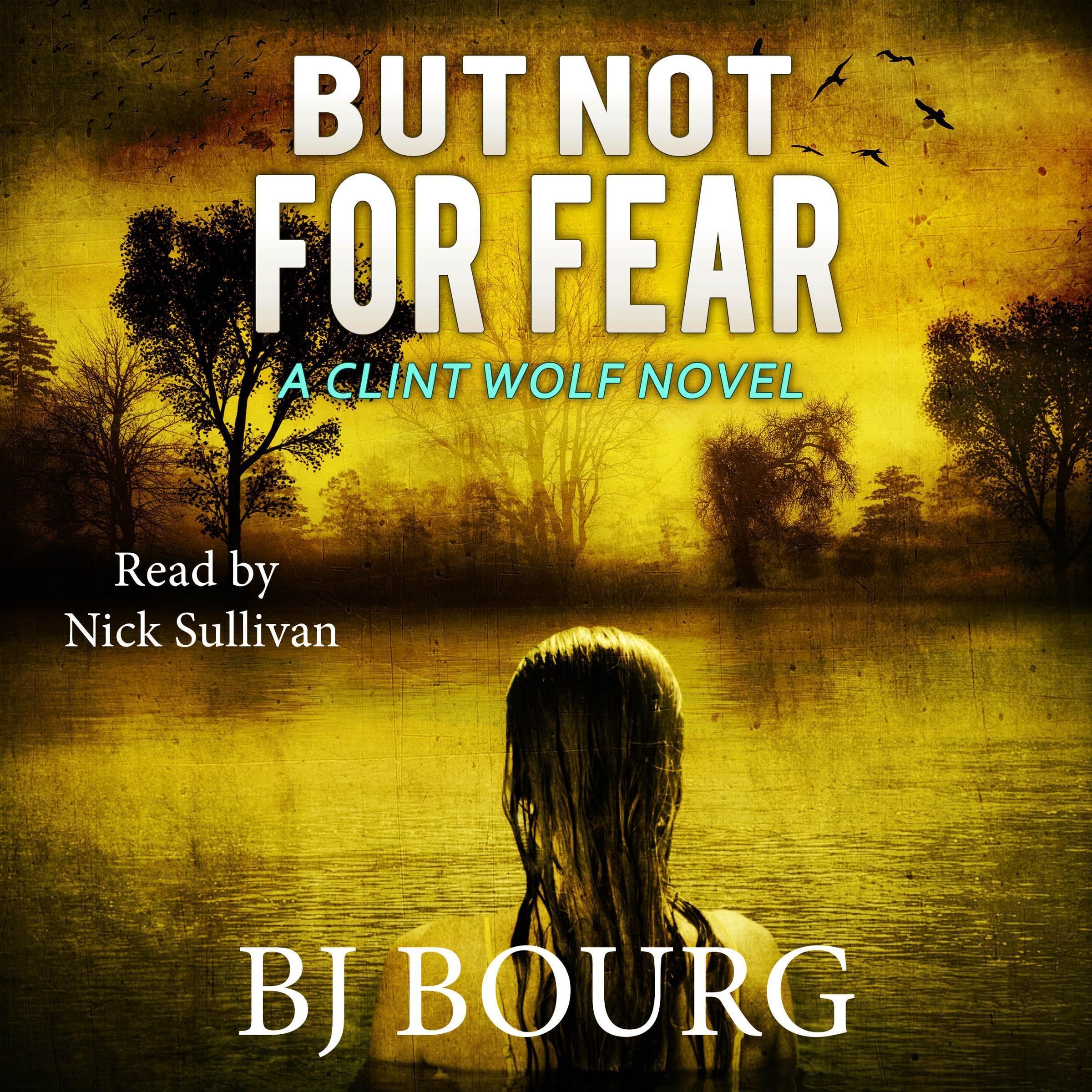 Cover art for But Not for Fear