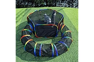 Lucky Cat Tunnel - Outdoor Rainbow Cat Enclosures Playground