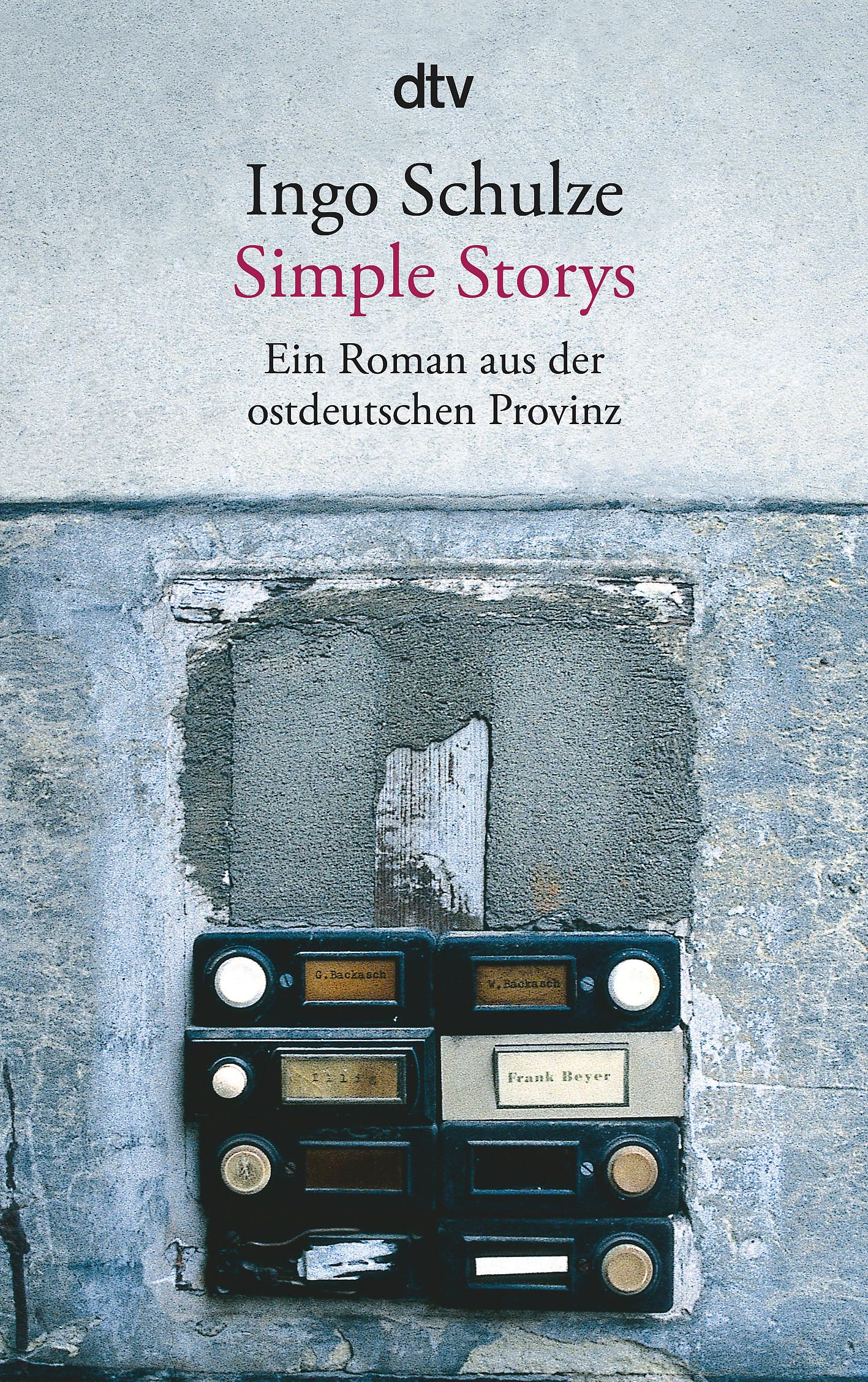 Simple Stories: Ein Roman aus der ostdeutschen Provinz