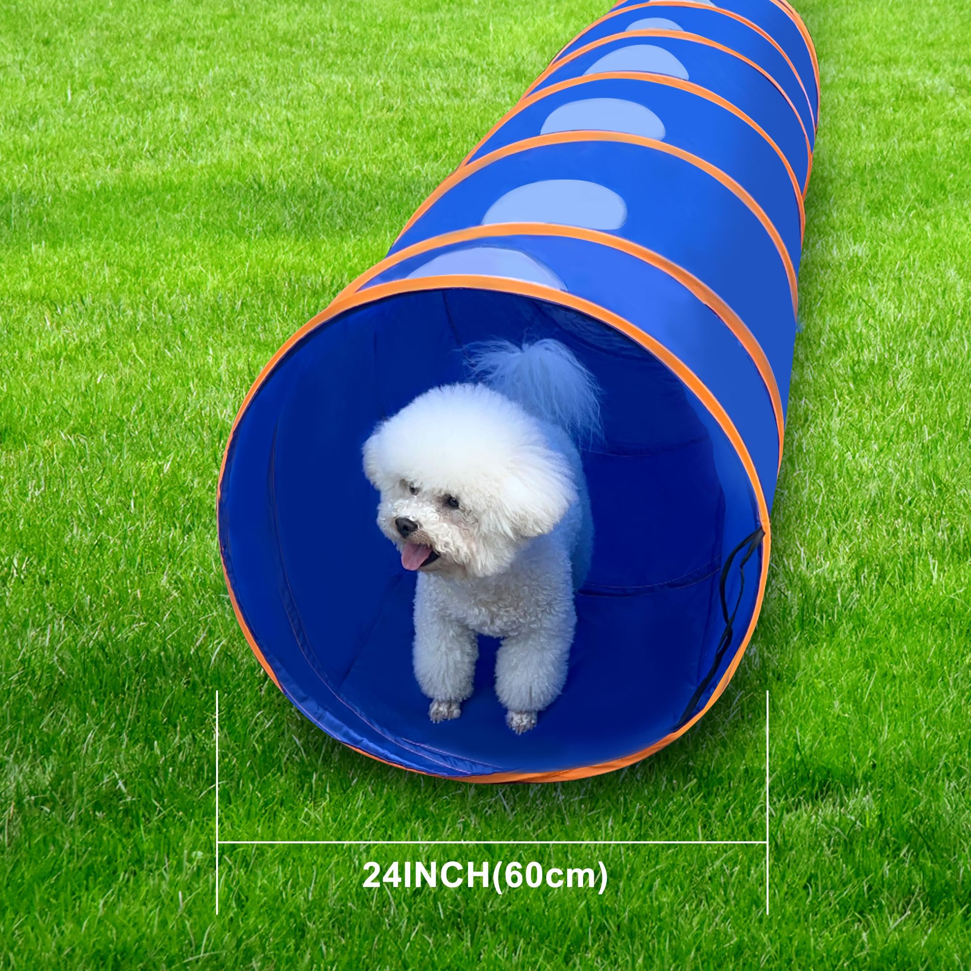 Agility-Tunnel für Hunde, 3 m, reißfester Oxford-Tuch, Trainingstunnel für alle Rassen, Innen- und Außenbereich, mit 4 Heringen und Tragetasche (Blau + Orange)
