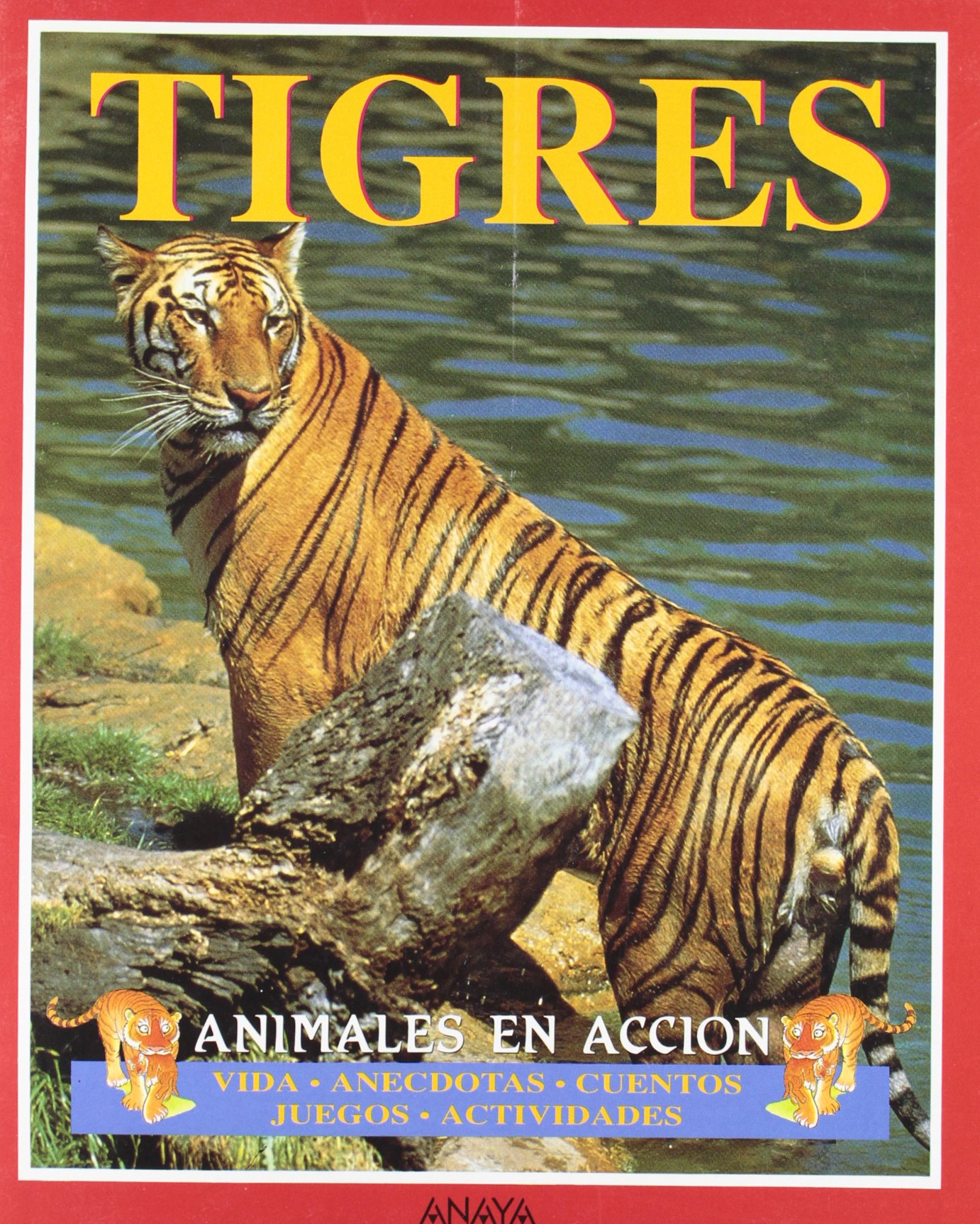Tigres: Animales en accion
