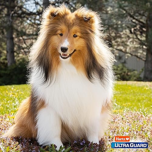 Miniatura 8 de Hartz UltraGuard Pro Prevención tópica de pulgas y garrapatas para perros y cachorros, 5-14 libras 6 tratamientos mensuales