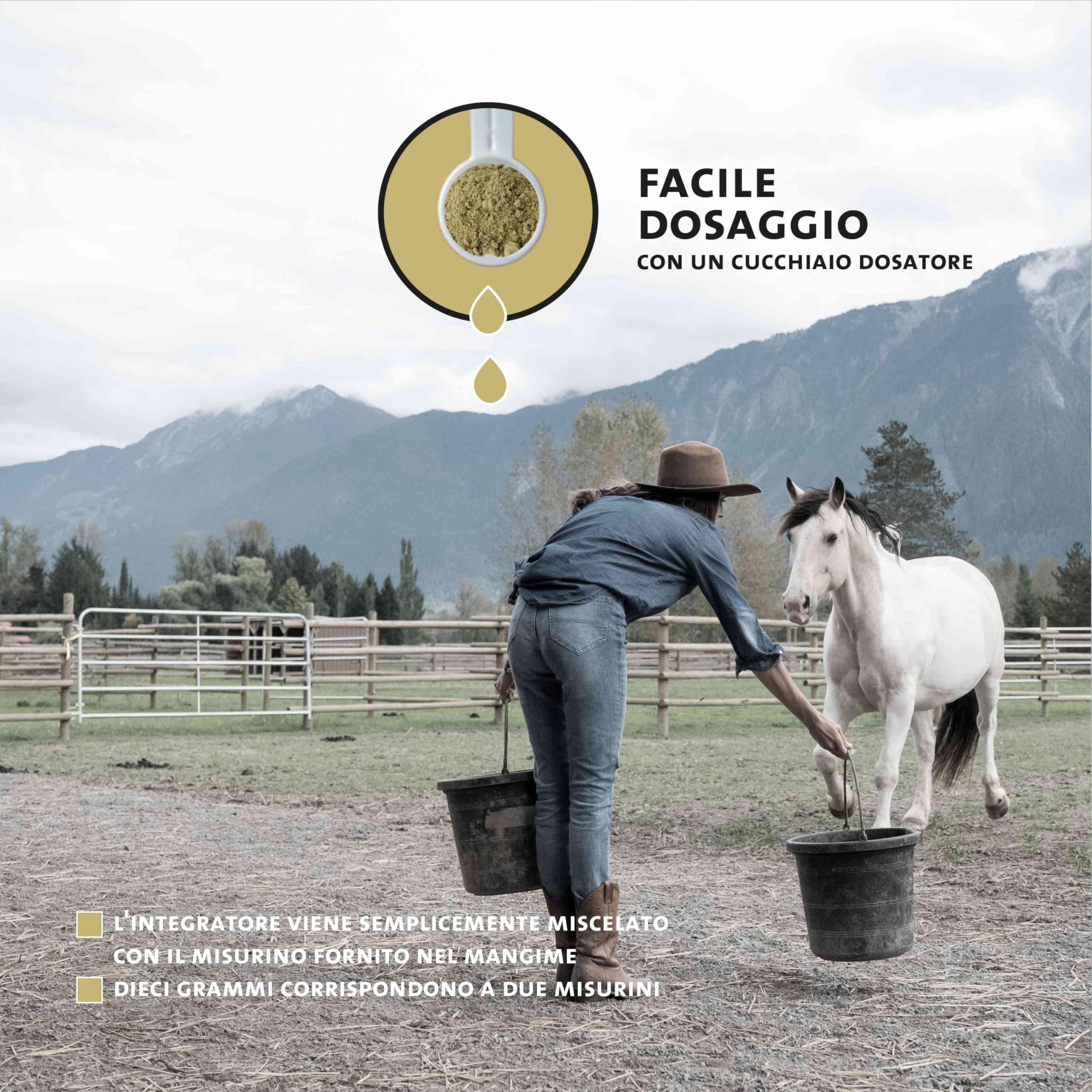 Peticare Polvere Tosse Cavalli – Integratore Respiratorio Con Finocchio, Timo E Liquirizia – Supporto Per Vie Aeree – PetHorse Health 4609 - 5
