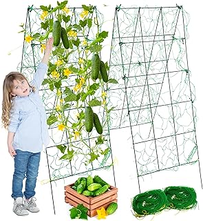 Pack 2 Heavy Metal Garden Trellis for Climbing Plants with Trellis Netti...
