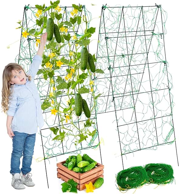 Pack 2 Heavy Metal Garden Trellis for Climbing Plants with Trellis Netti...