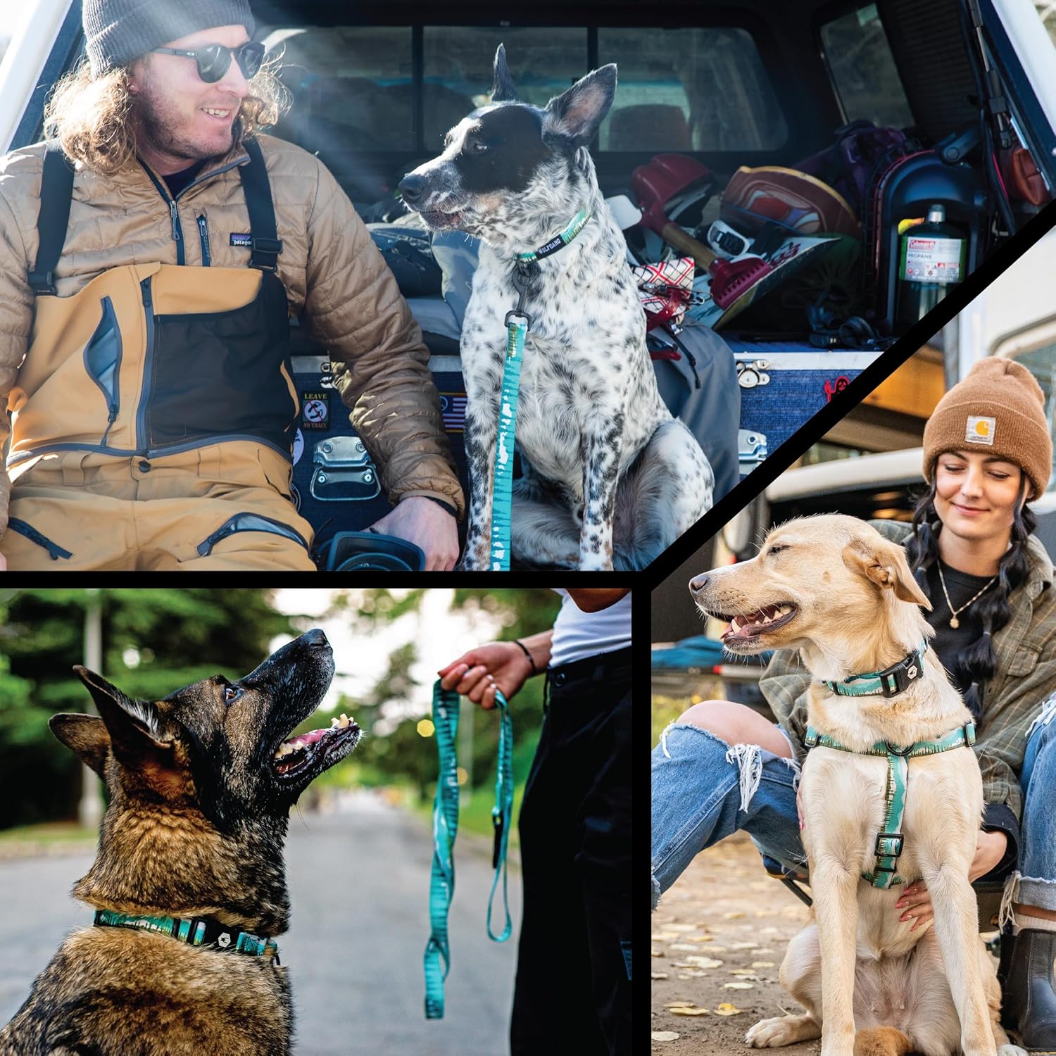 Wolfgang Heavy Duty Dog Leash, Pull-Tested for Walking & Training, GreatEscape Print, Small