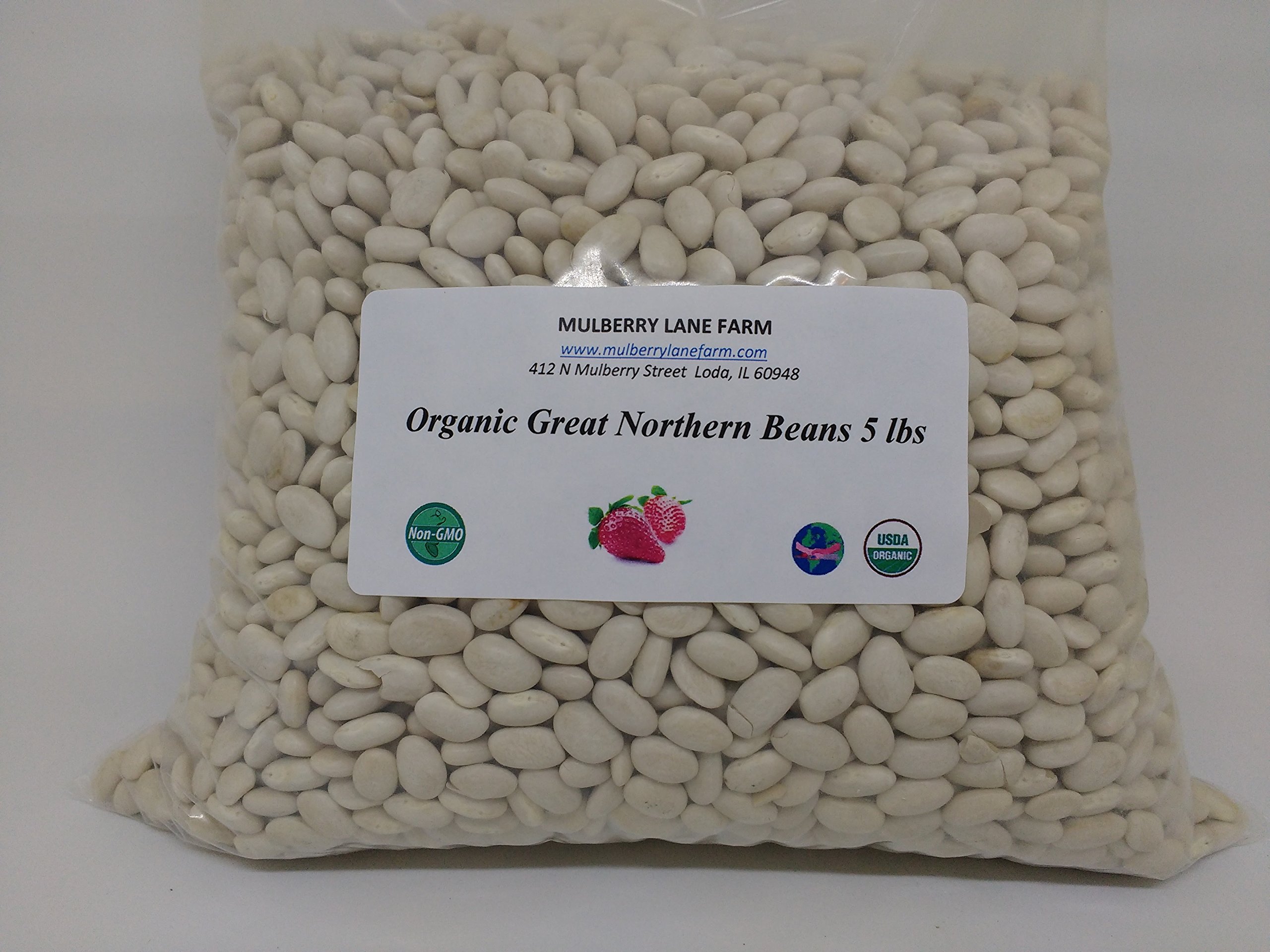 Great Northern Beans, 5 Pounds USDA Certified Organic, Non-GMO, Dried, Bulk, Product of USA, Mulberry Lane FarmsUSDA Organic