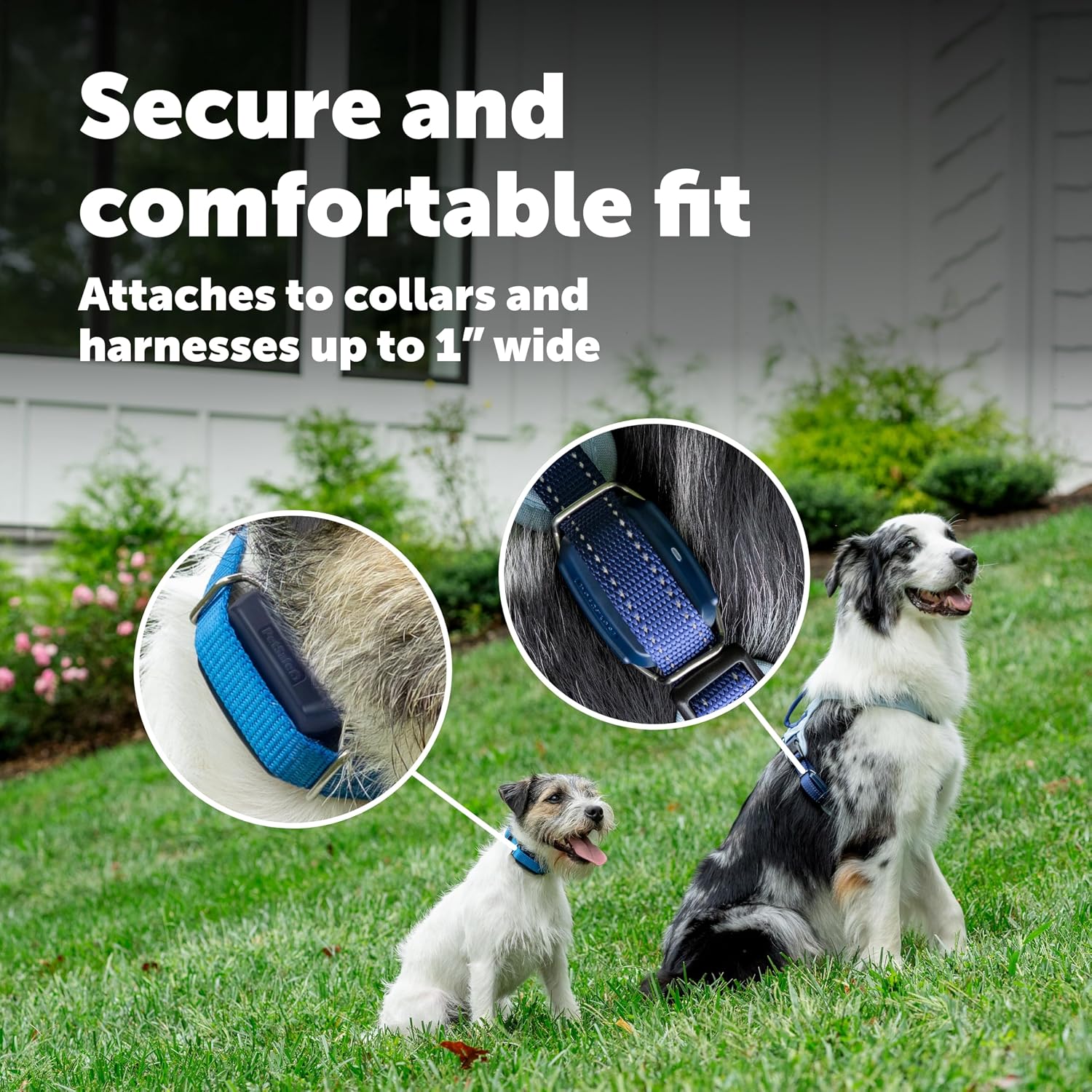 PetSafe GPS Dog Tracker, Real-Time Tracking, Subscription Required