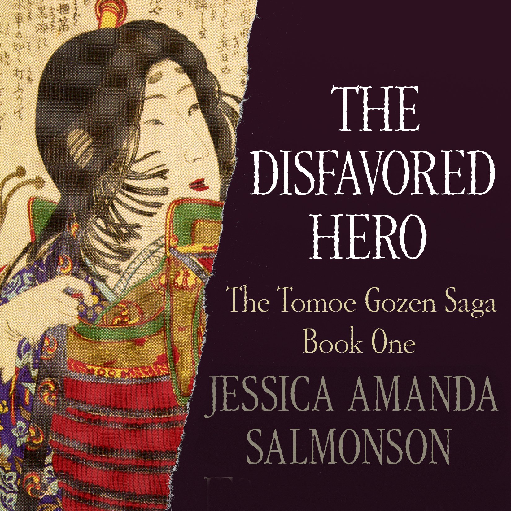 Cover art for The Disfavored Hero