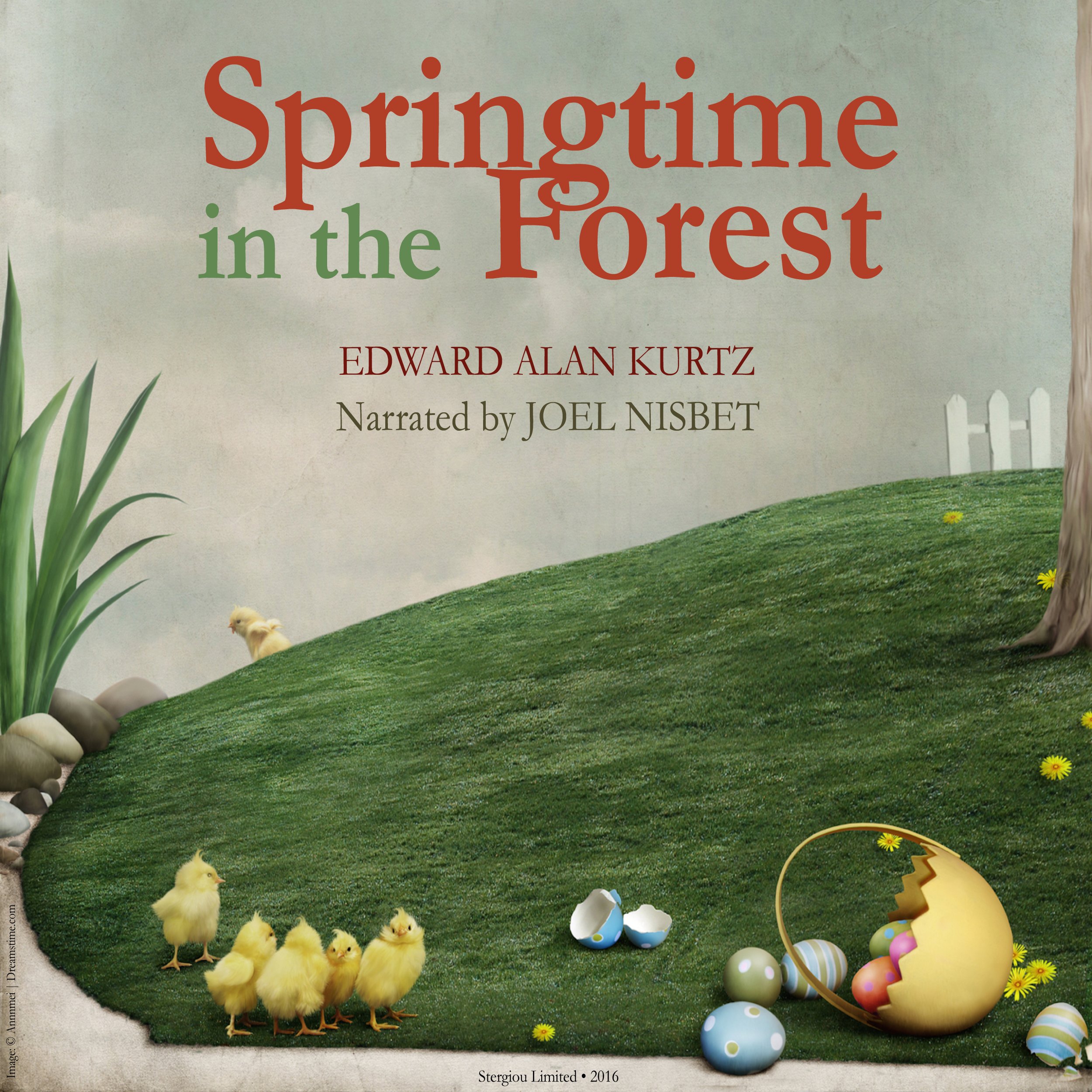 Springtime in the Forest