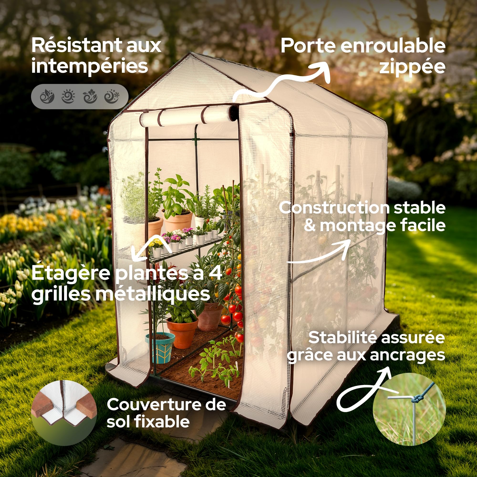 Arebos Serre en Film Premium 2 Niveaux 120 x 186 x 190 cm | Serre de Jardin Stable avec Étagères & Fenêtre d’Aération | Gain de Place | Structure Robuste pour Culture de Plantes