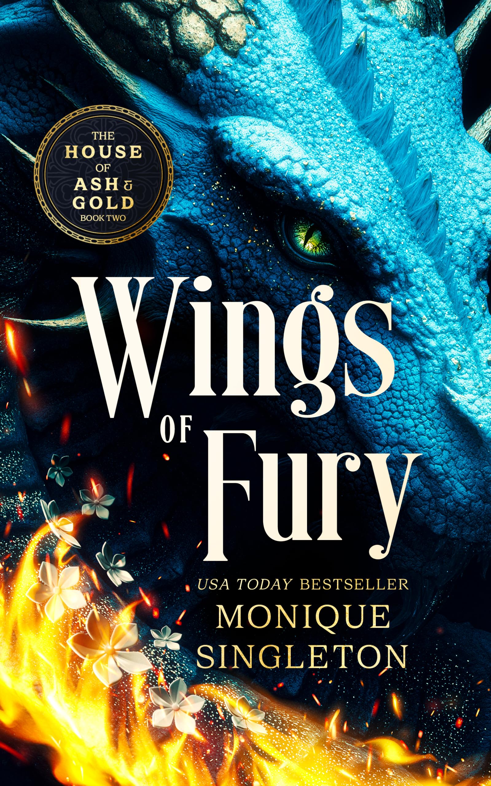 Wings of Fury: A Dark Dragon Rider Romantasy (House of Ash and Gold)