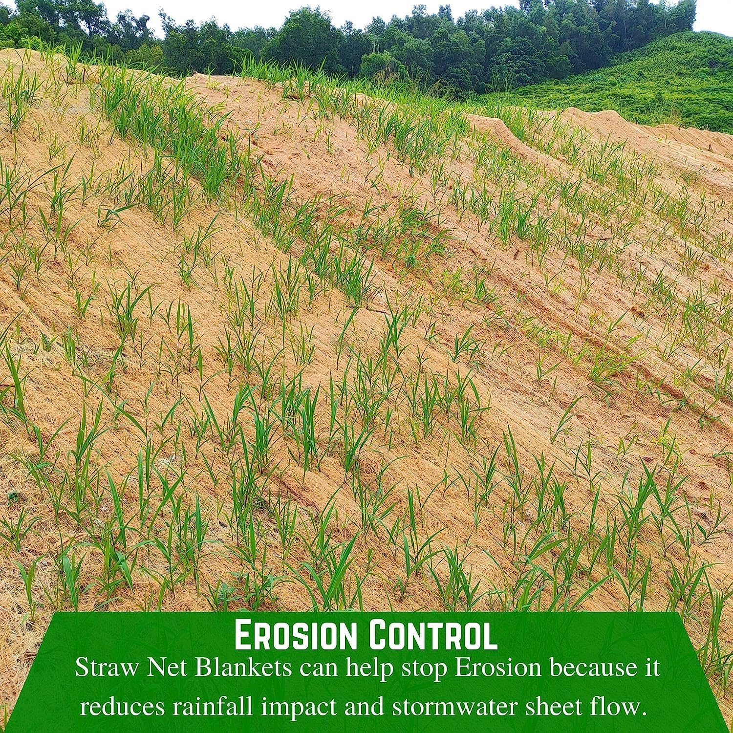 Farm Plastic Supply - Erosion Control Blanket (4' x 50') - Straw Garden and Landscape Cover, Erosion Control Blanket, Straw Blanket, Erosion Control, Mulch, Slope Stabilizer, and Seed Protector