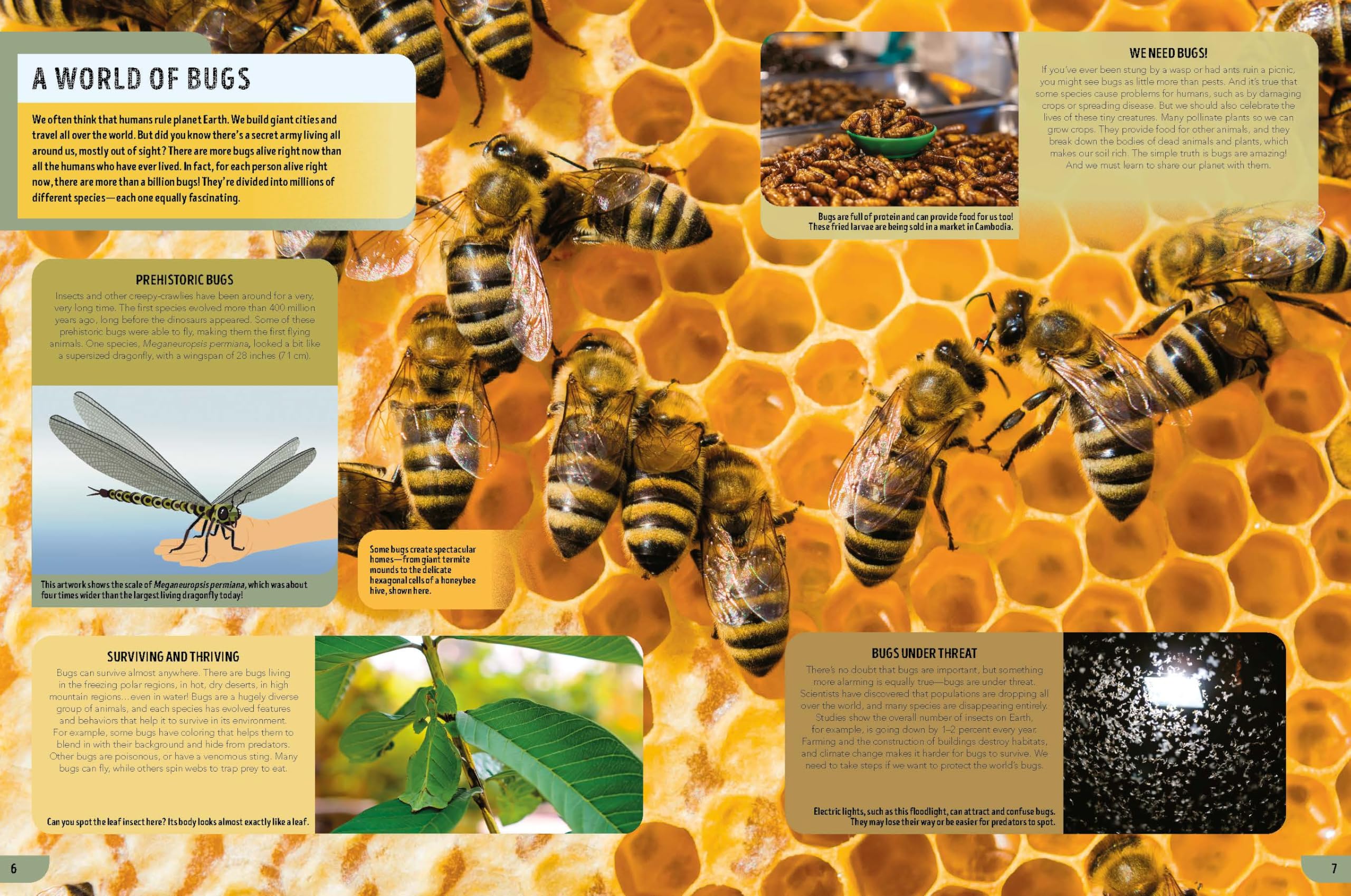 Lonely Planet Kids The Bugs Book: Meet Over 100 Incredible Creepy-Crawlies That Share Our Planet (The Fact Book)