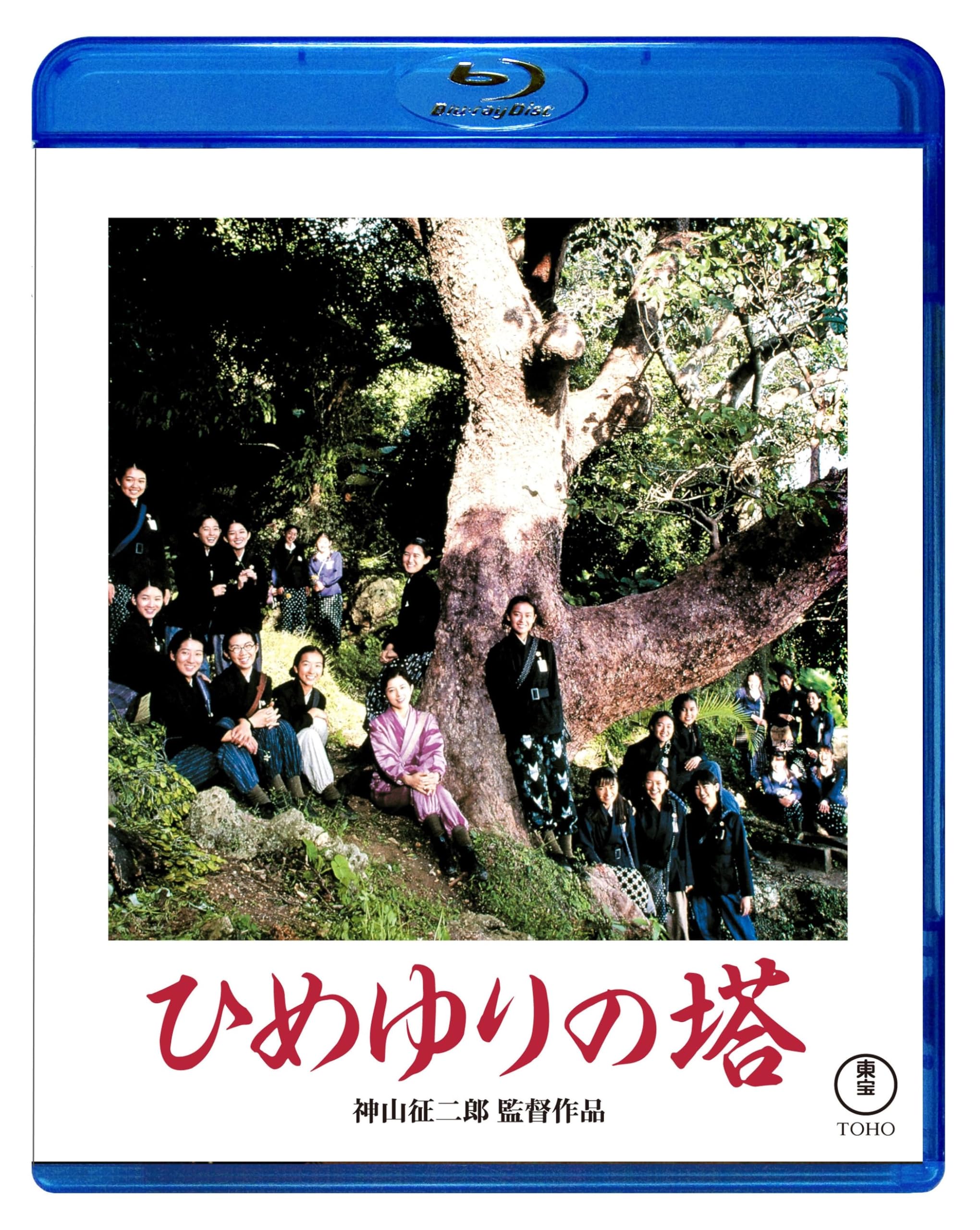 DVD新品 ひめゆりの塔 東宝名作 沢口靖子 管理A1580-1927 Amazon.co.jp: ひめゆりの塔沢口靖子後藤久美子高橋一生東宝新