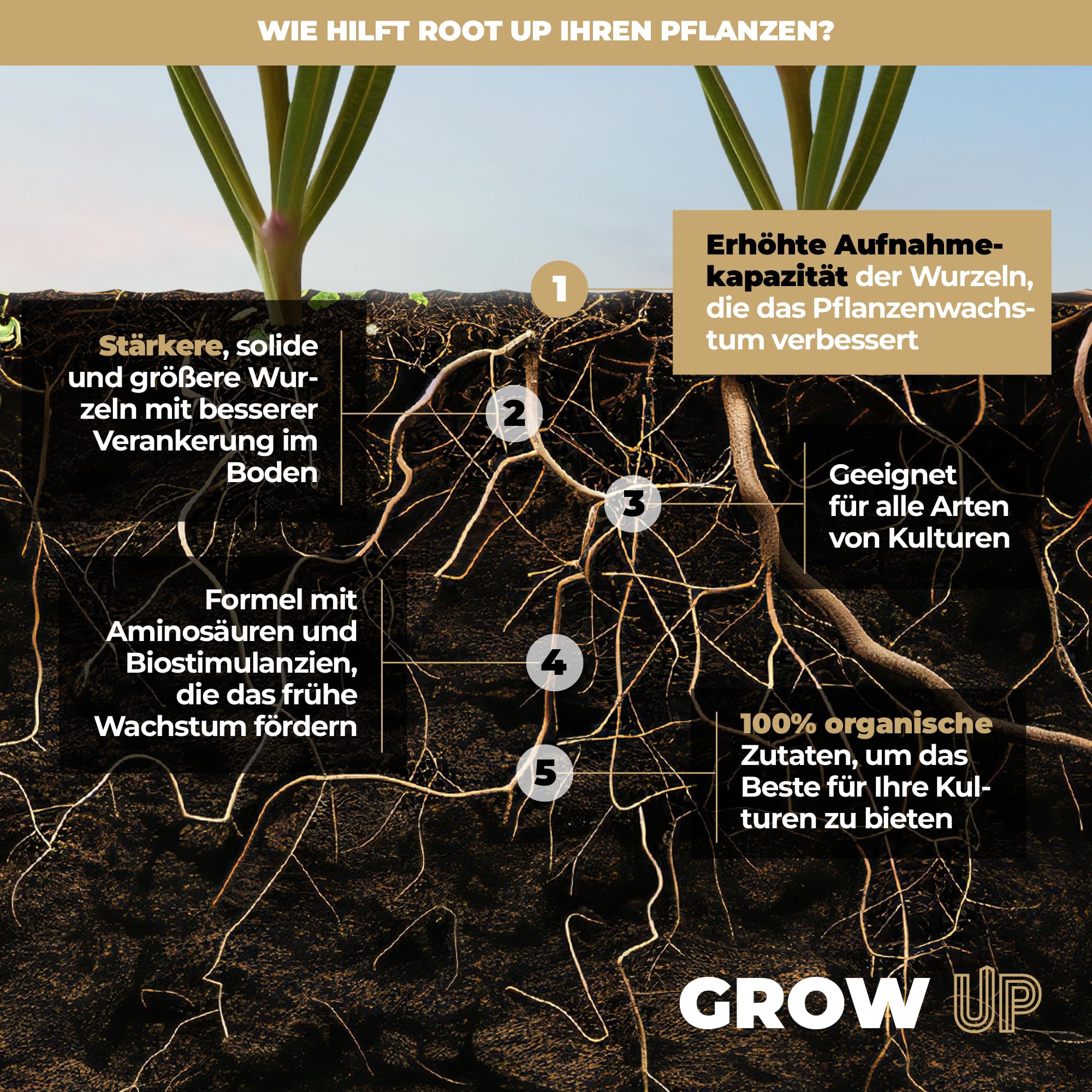 UP NUTRIENTS Bio Wurzelstimulator Root Up 1 L | Wurzeldünger | Grow Dünger | Organischer Flüssig | Wurzelwachstum Wurzelaktivator Wurzelhormon | Aktivator-Dünger, robust, groß und fest