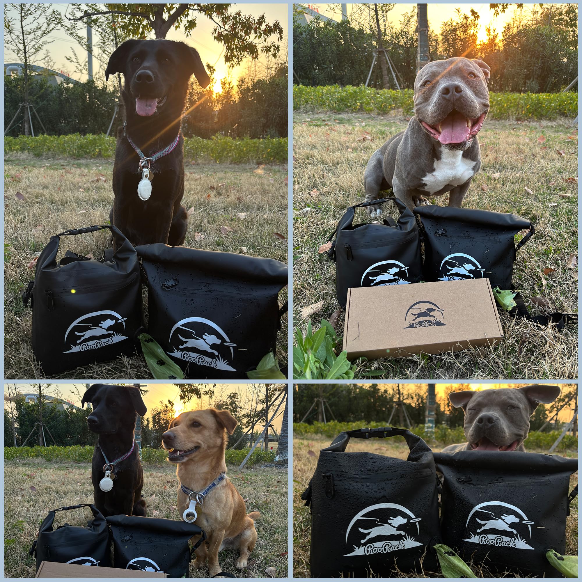 Taleas Sac à friandises pour chien - Sac à friandises imperméable avec compartiment anti-odeurs - Sac d'entraînement pour chien à accrocher ou comme sac banane - Sac à nourriture et sac à friandises