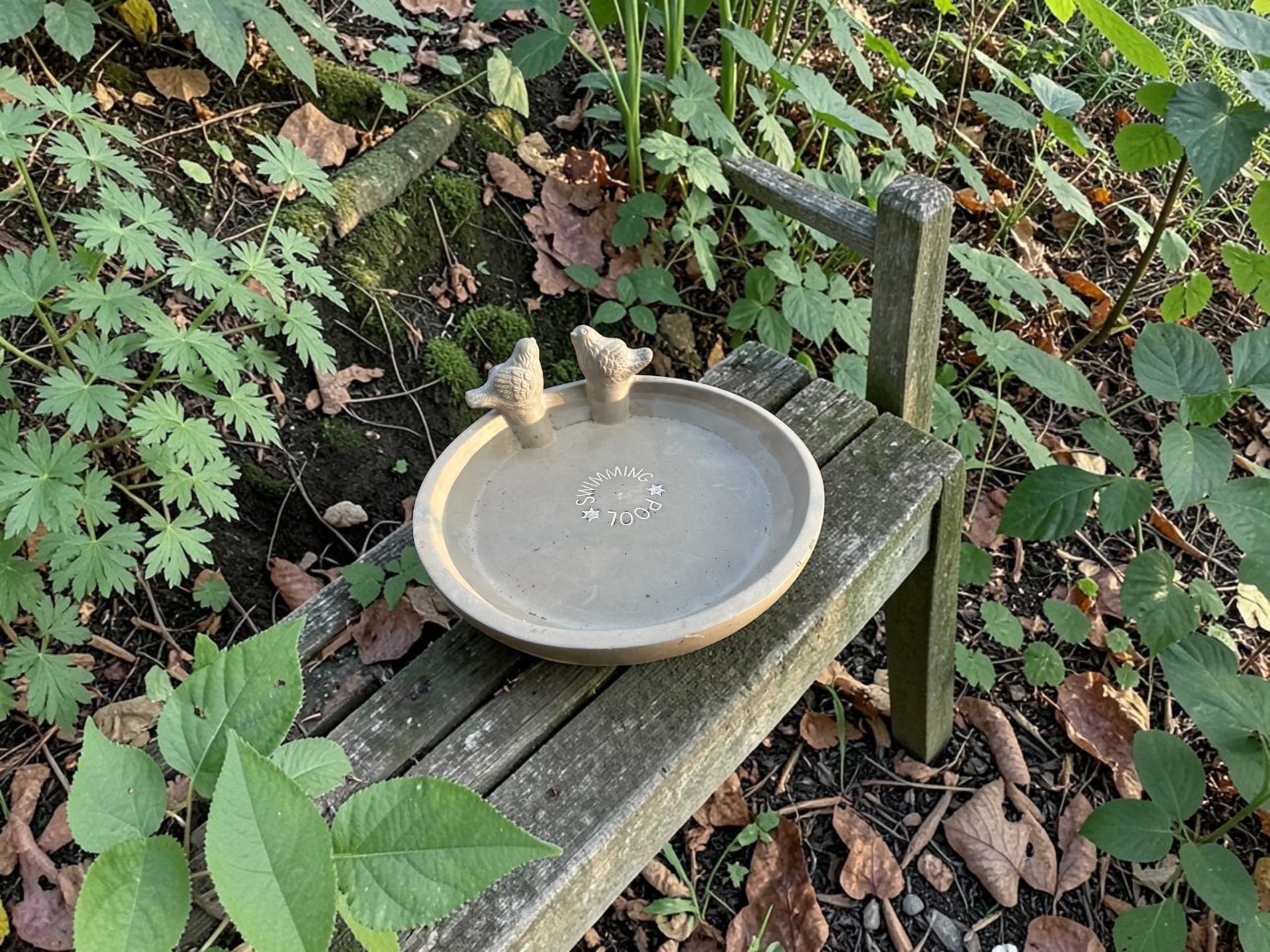 degawo Swimming Pool Vogeltränke Vogelbad Vogelbecken Futterschale Beton Wasserstelle