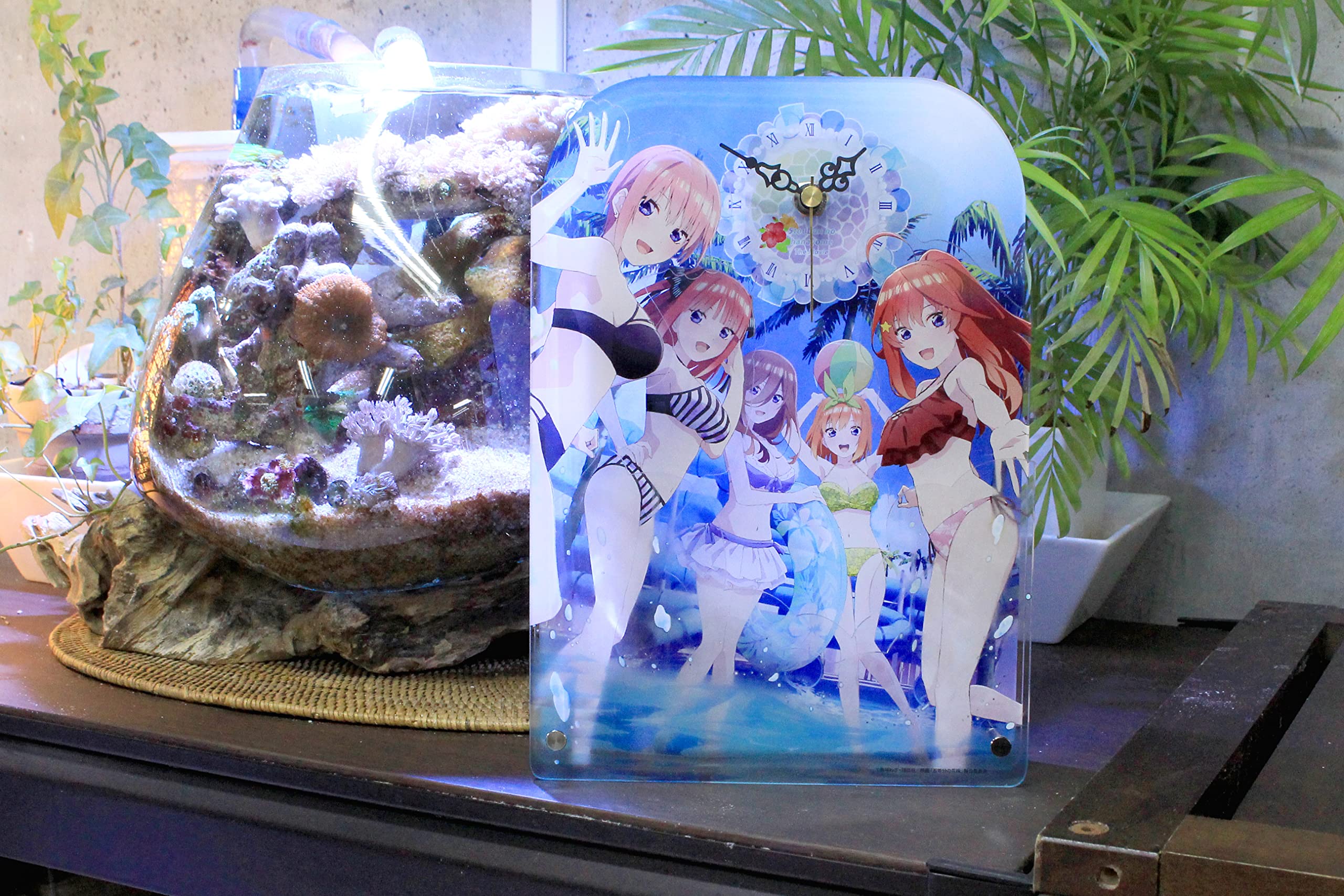 Amazon.co.jp: シーズナルプランツ 五等分の花嫁 BIGアクリル置時計 約