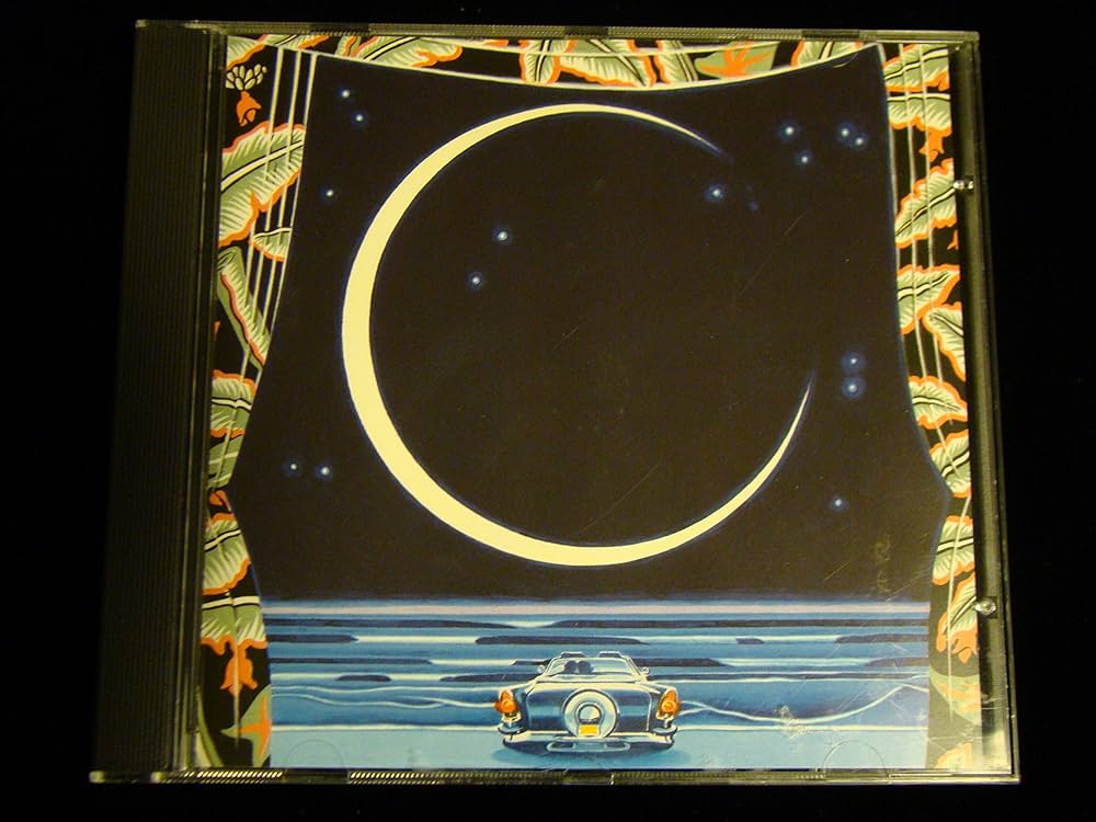 Good Vibrations Disc 4 (Thirty Years of the Beach Boys