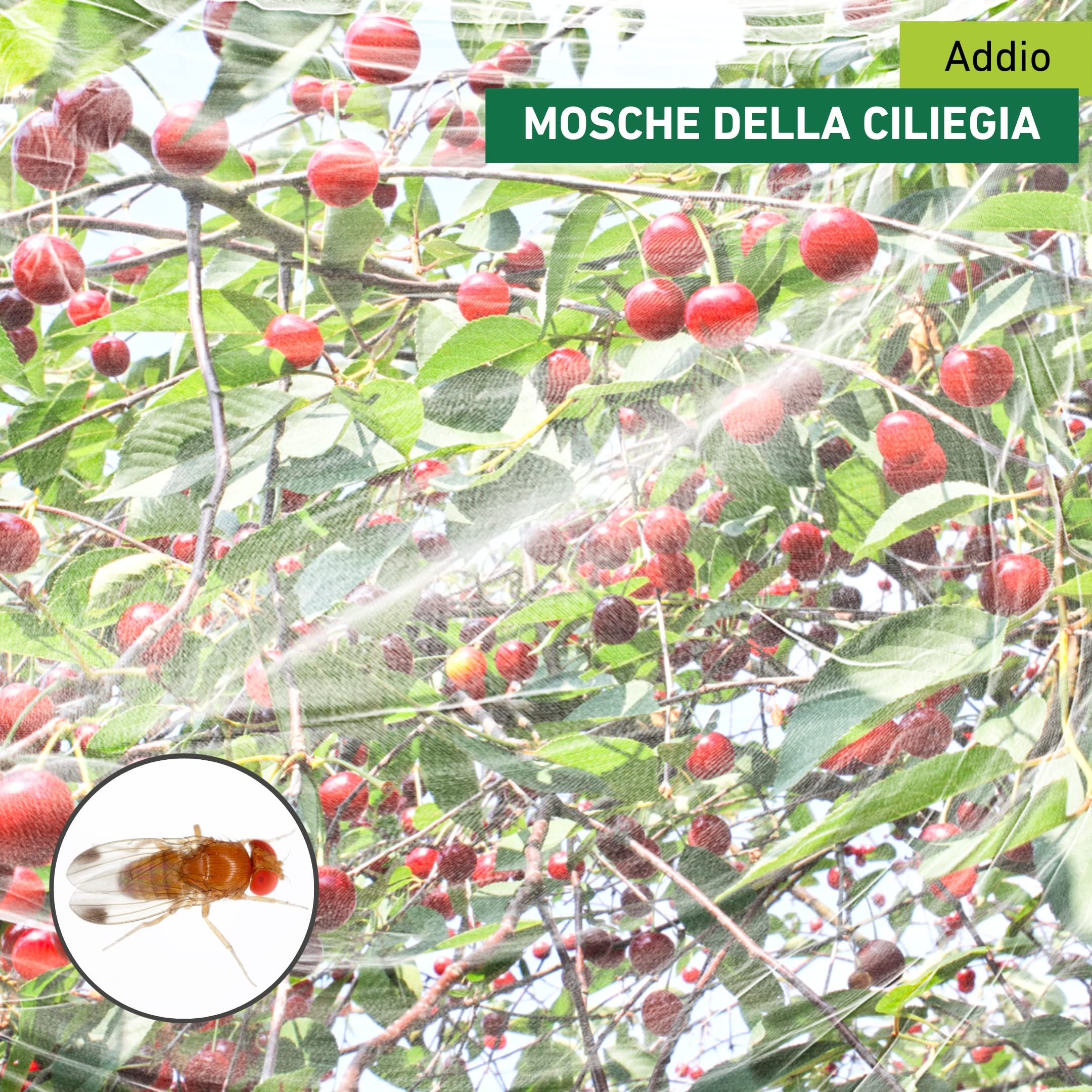 Windhager Rete per mosca all'aceto di ciliegia, protezione contro insetti e uccelli per alberi da frutto, bianco, 4 x 5 m, 06778