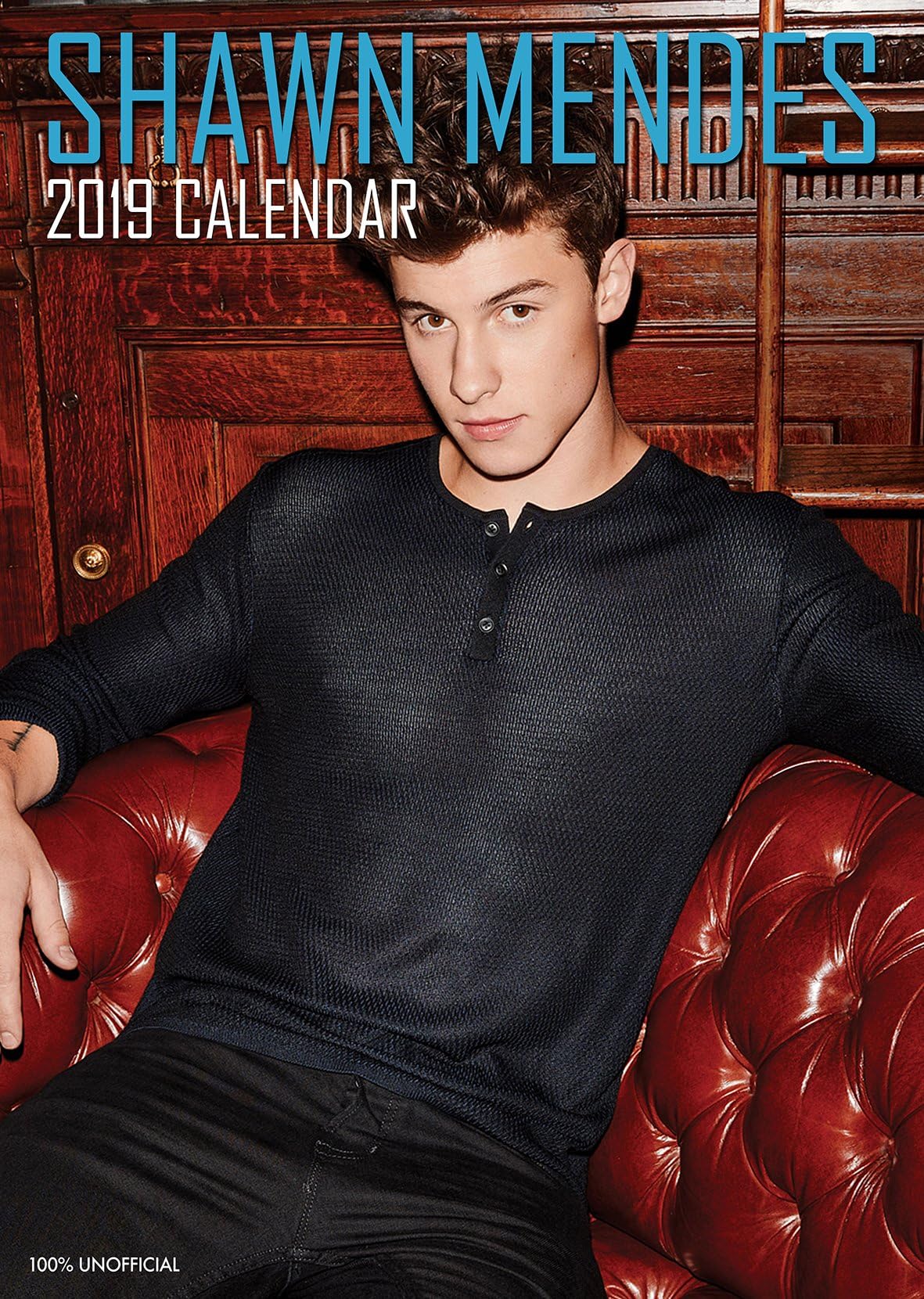 Shawn Mendes 2019 Calendar