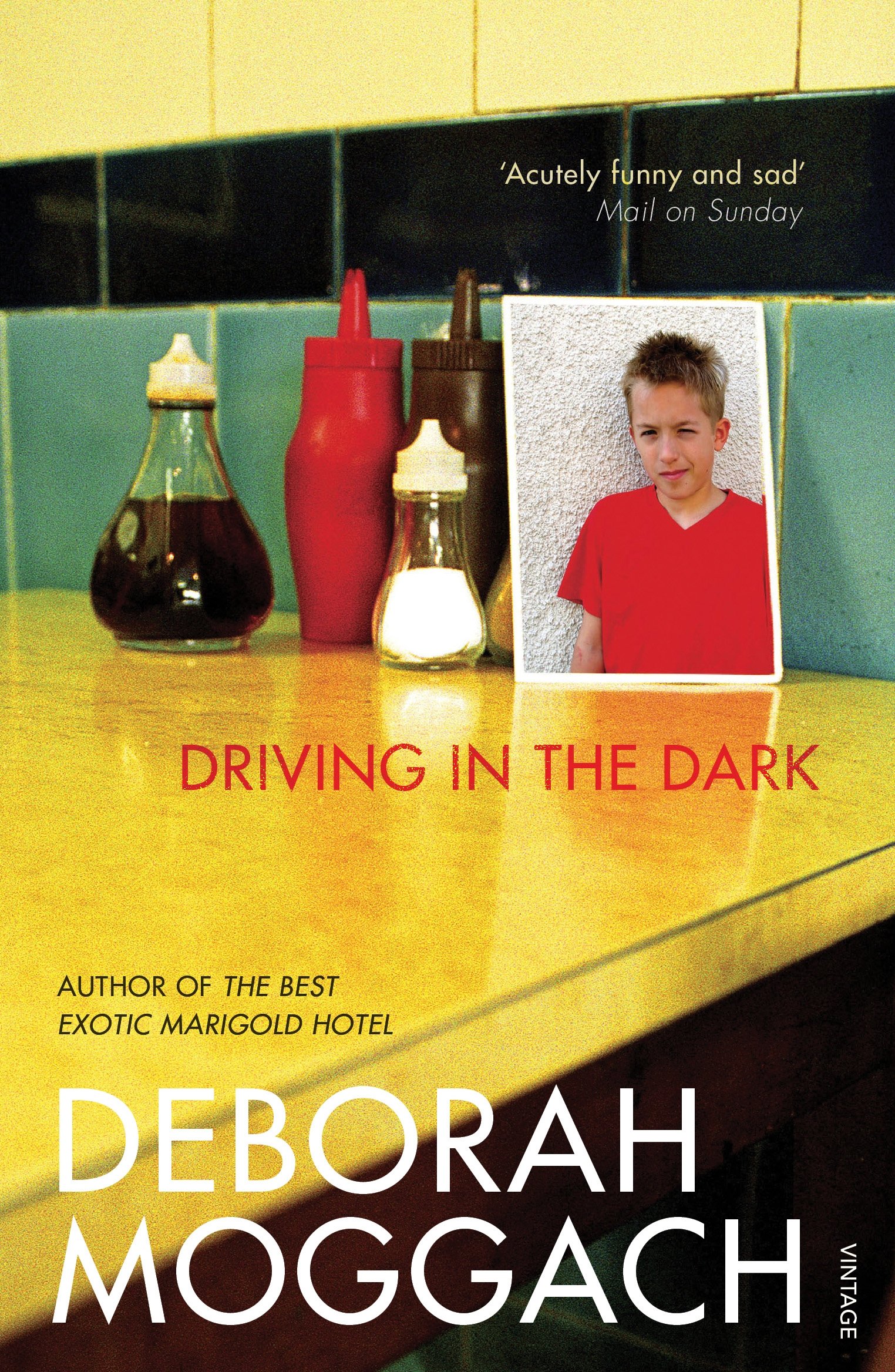 Driving In The Dark - Moggach, Deborah