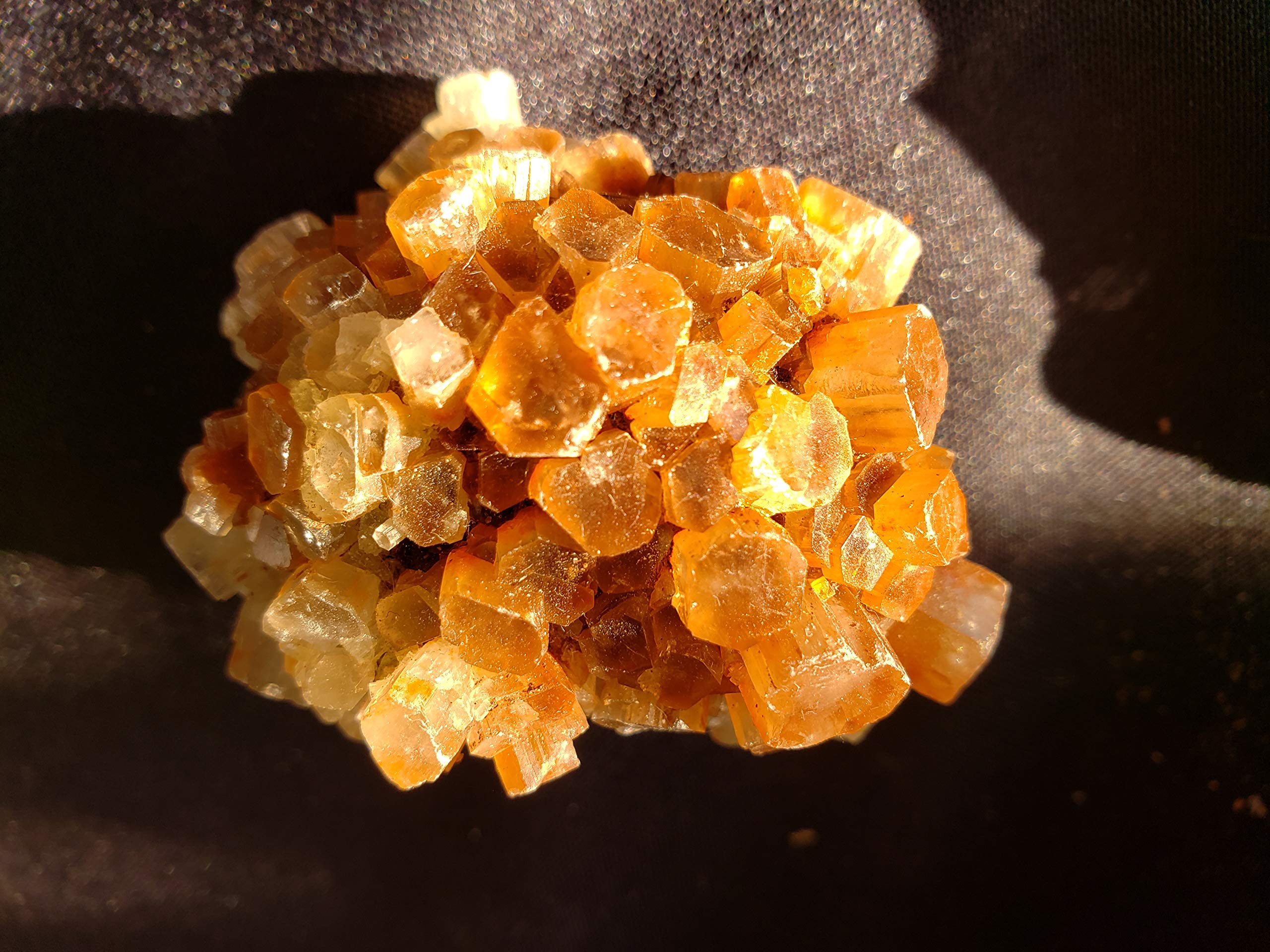 Brine Shrimp Hatchery Kit