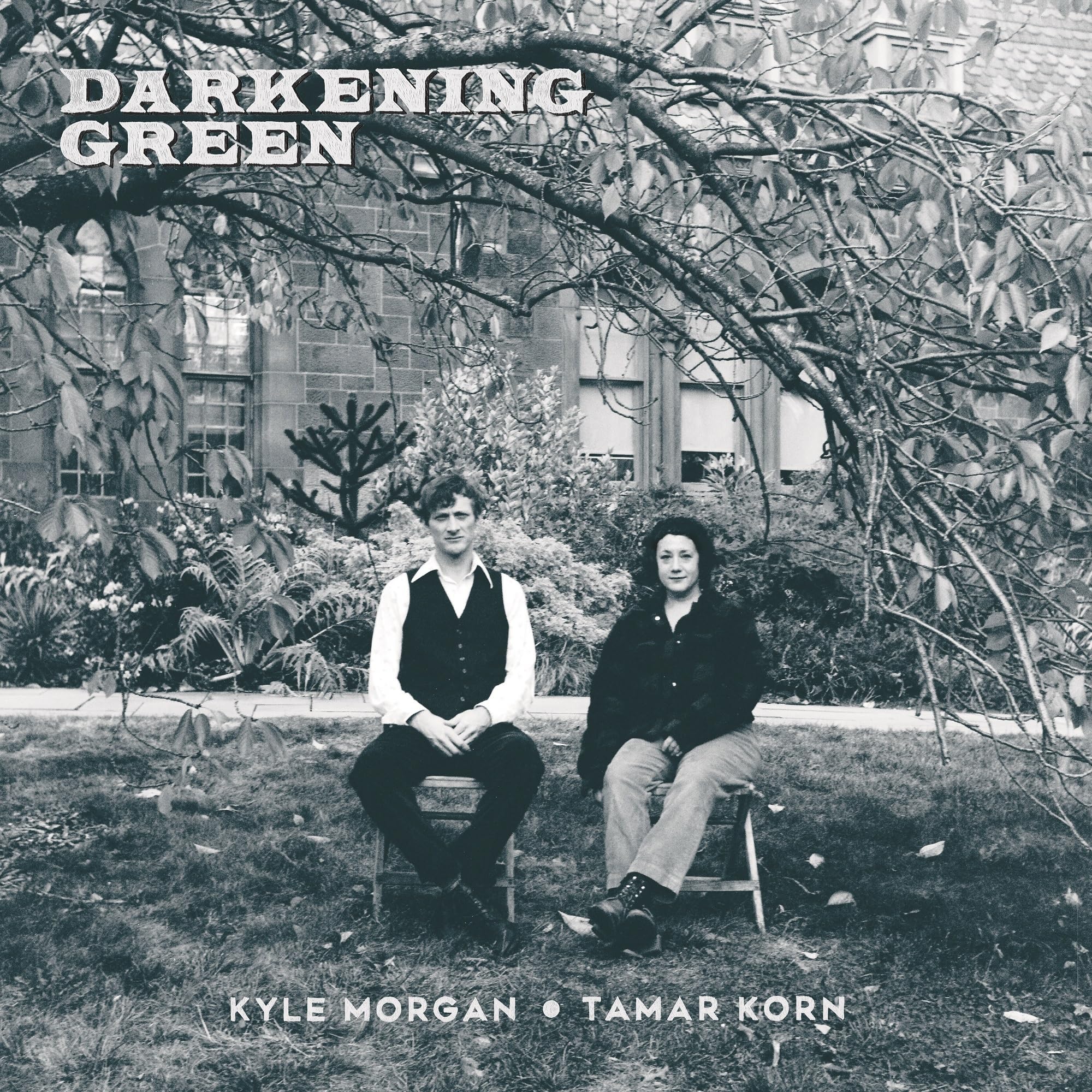 Darkening Green [12" VINYL]