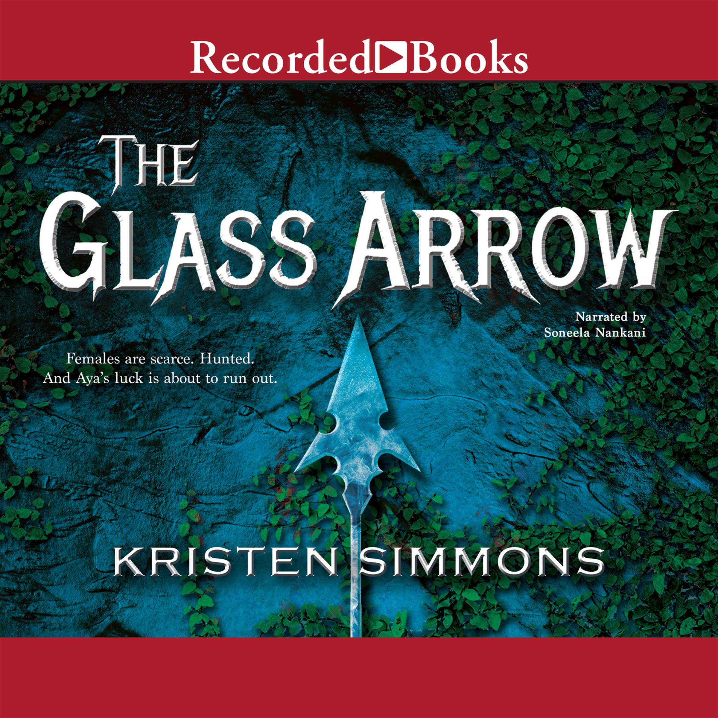 Cover art for The Glass Arrow