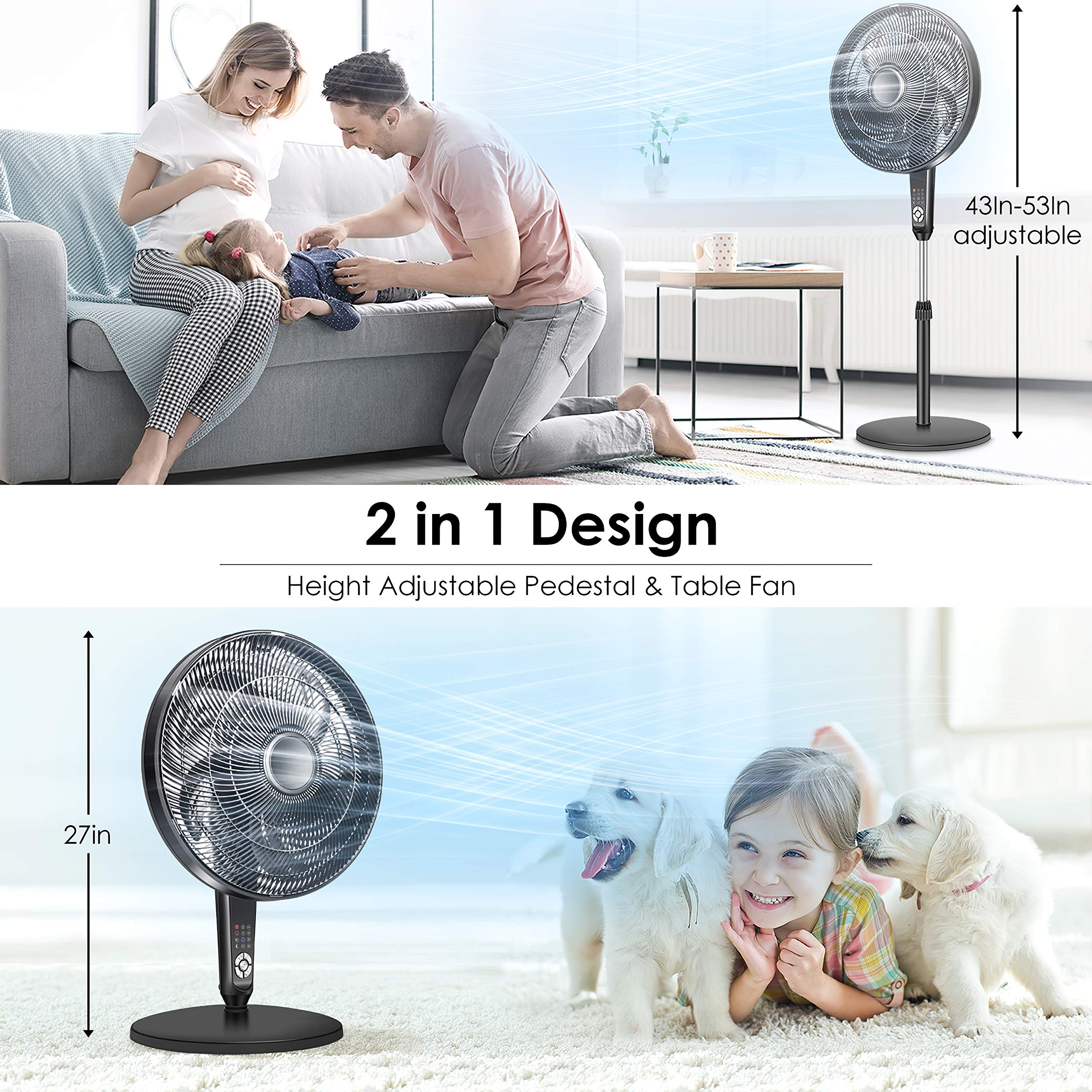 Pedestal Fan Oscillating Fan with Timer Function, Powerful 4 Speed, 3