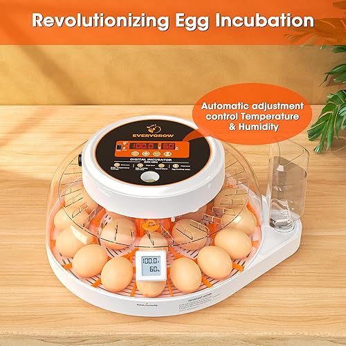 Vista 10 de Incubadoras para incubar huevos, incubadora inteligente de 12 huevos con giro automático de huevos y control de humedad, adición automática de agua
