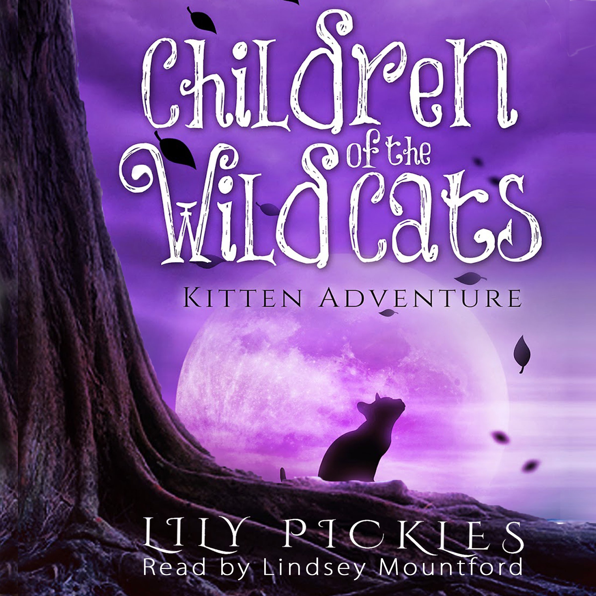 Cover art for Kitten Adventure