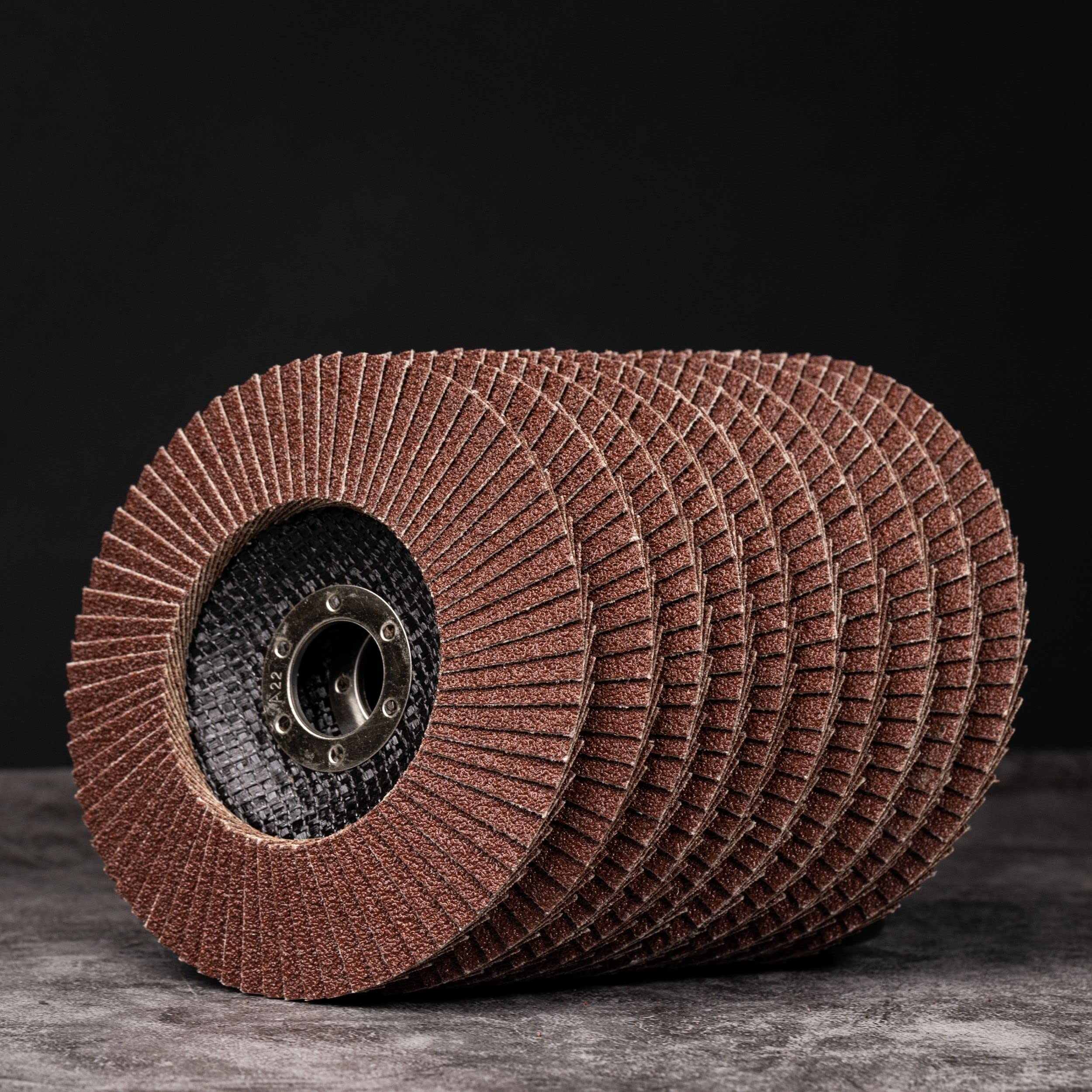 Woltersberger® Lot de 10 Disques Abrasifs à Lamelles, Disque de Meulage 125 mm Standard, Roues à feuillets abrasif Grain 80 pour métal et bois