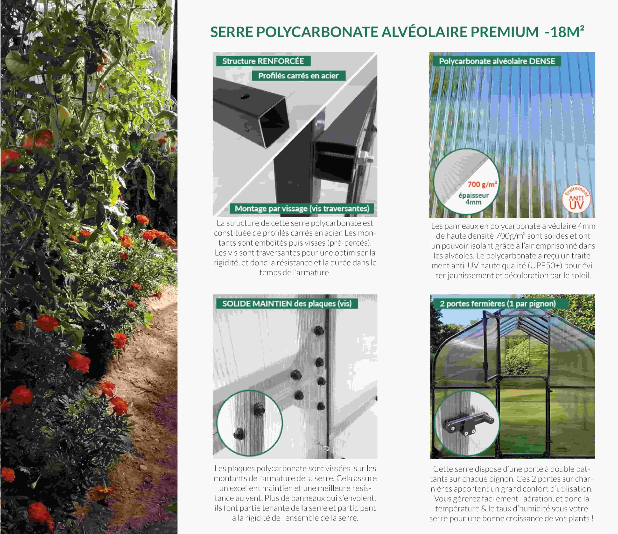 Serre de Jardin 18m² | Polycarbonate 6x3m | Profilé Gris Anthracite | Deux Portes