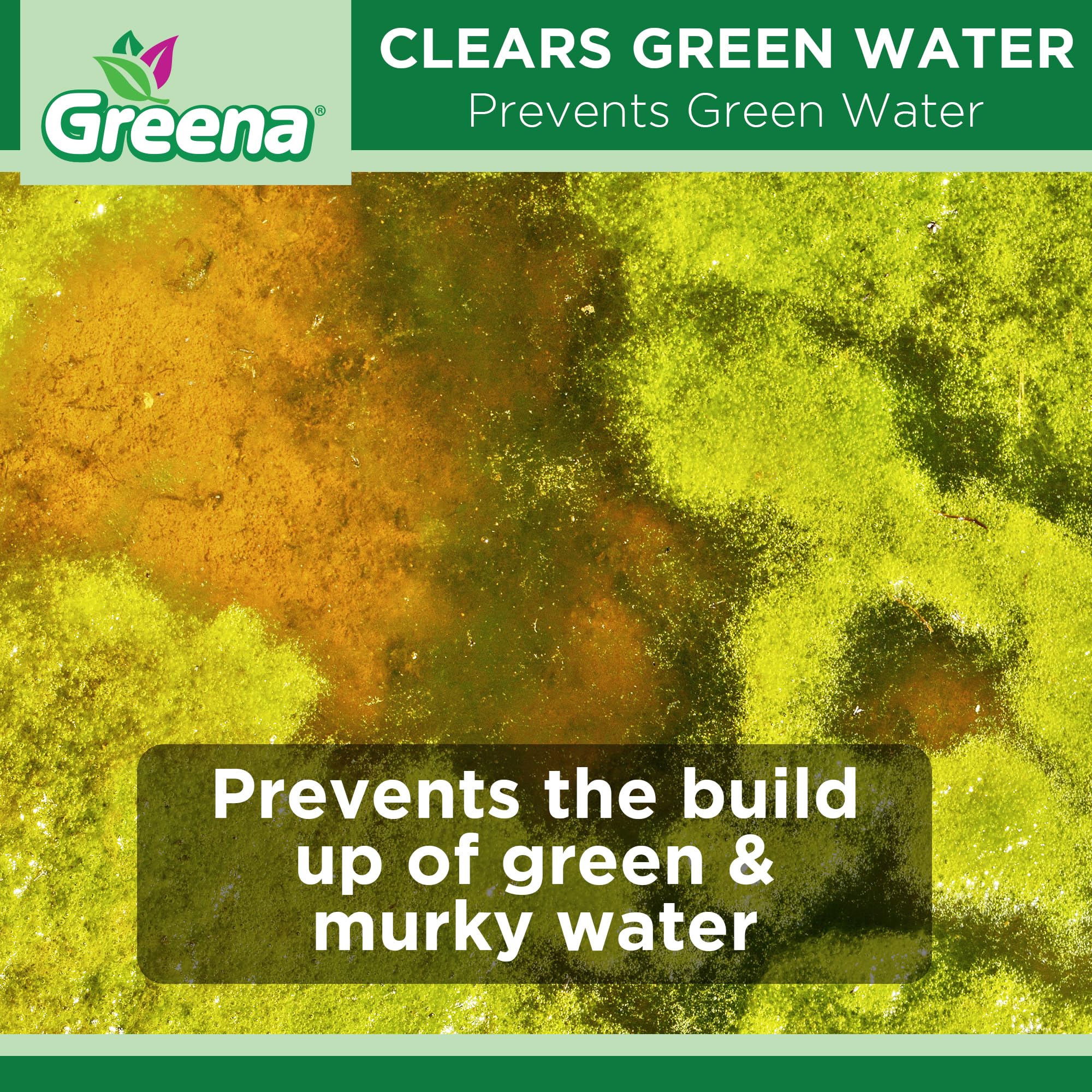 Greena Fontaine Clarificateur d'eau claire – Traitement efficace pour une meilleure clarté de l'eau, solution écologique pour une eau propre et claire 500 ml (1)